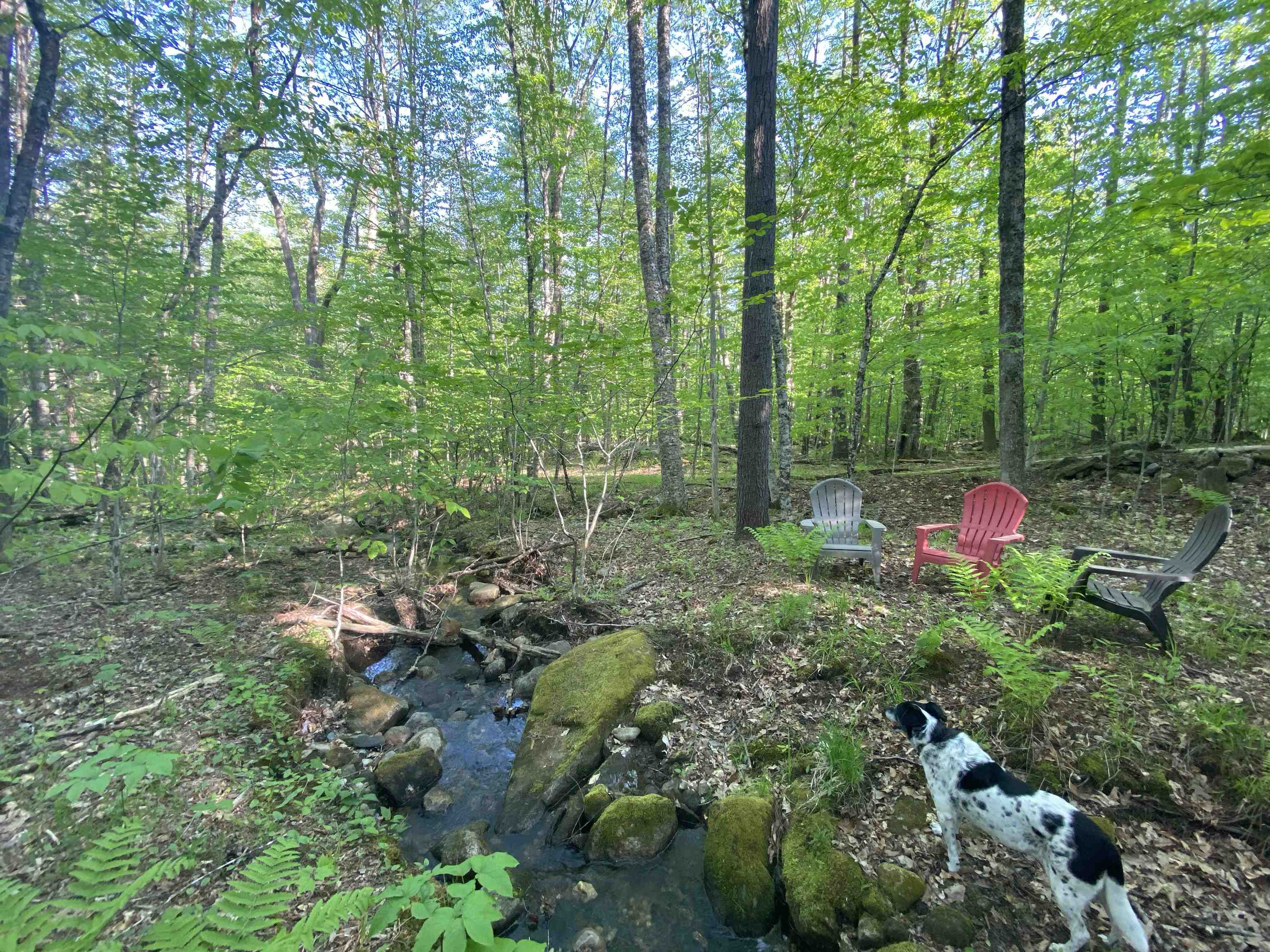 116 Teacher Road Property Photo 34