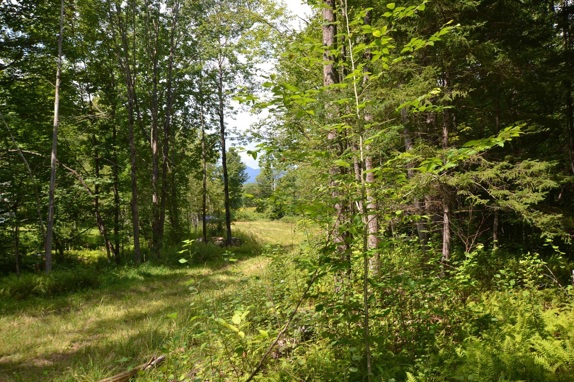 Sweet Road Property Photo 4