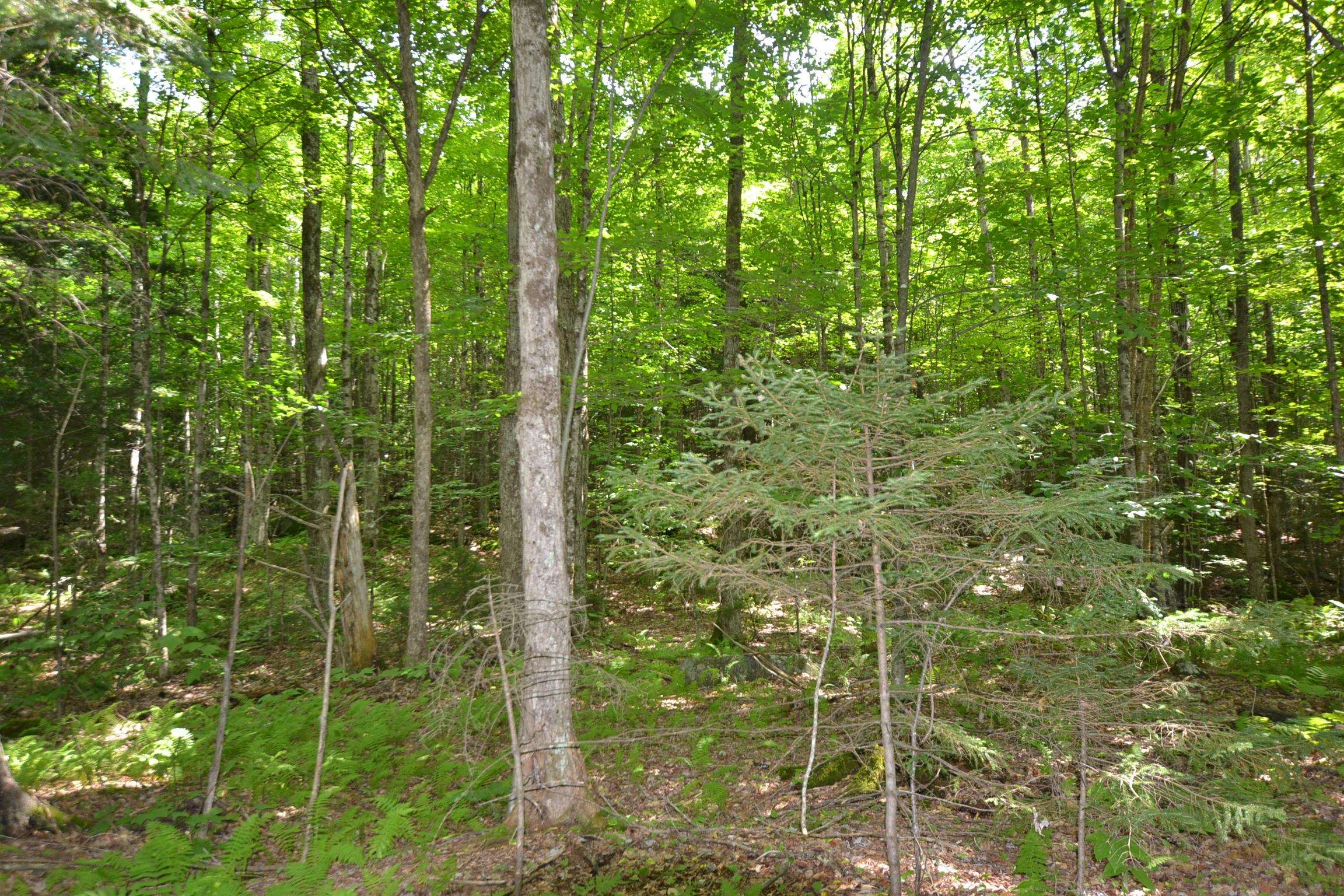 Sweet Road Property Photo 6