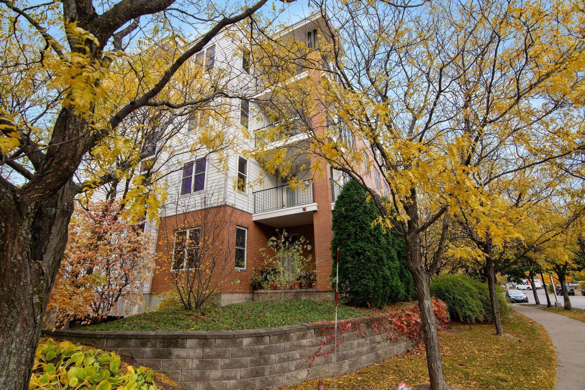 370 Farrell Street Property Photo 45