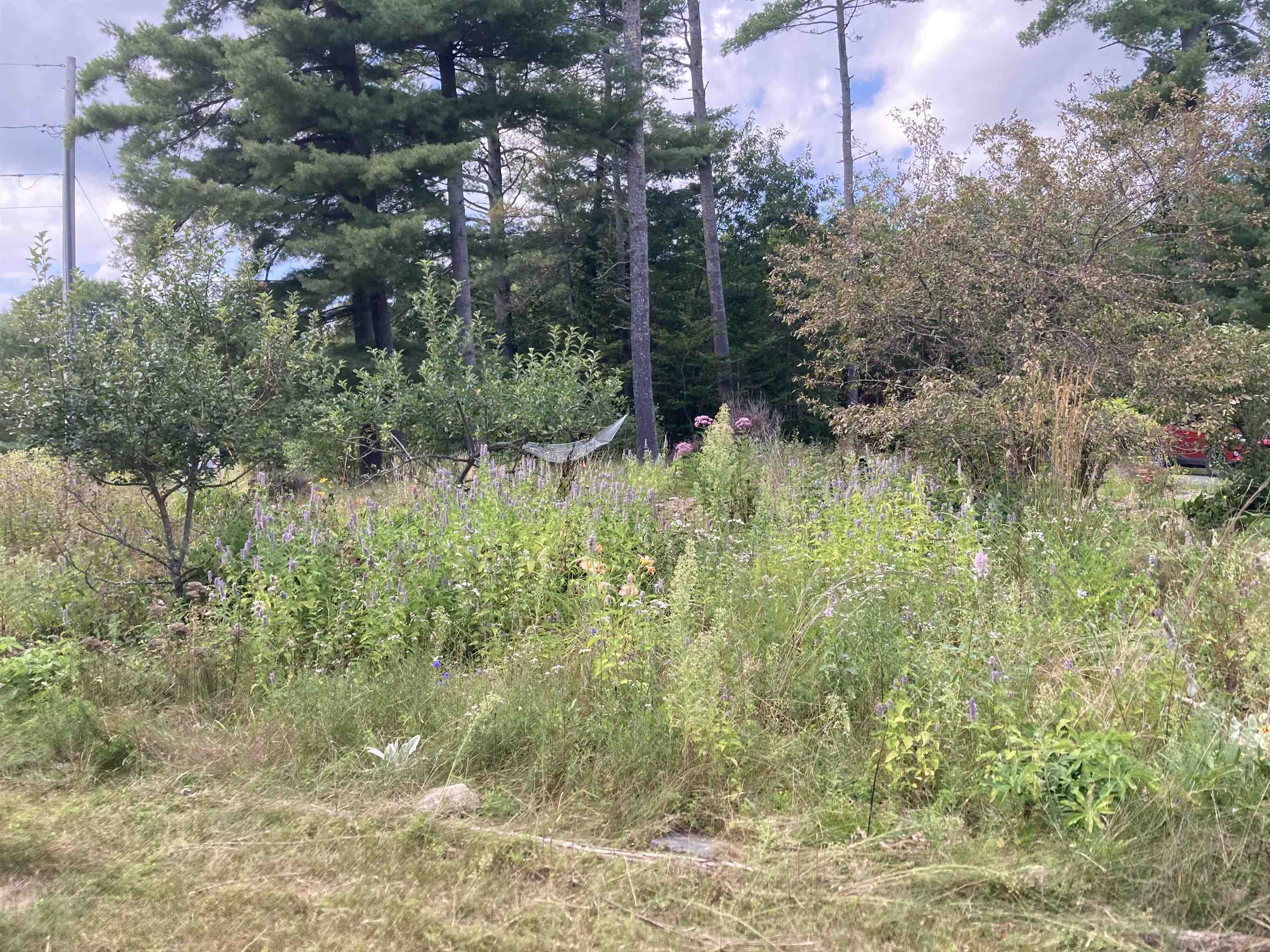 839 Us Route 4 Property Photo 35