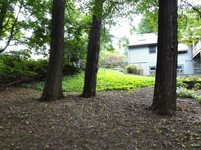 95 Crescent Road Property Photo 47