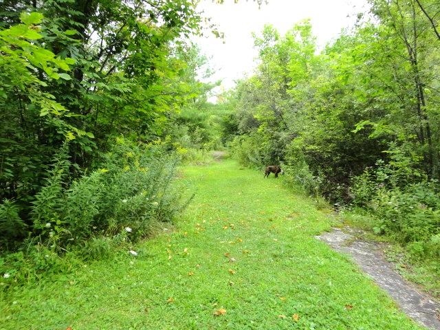95 Crescent Road Property Photo 50