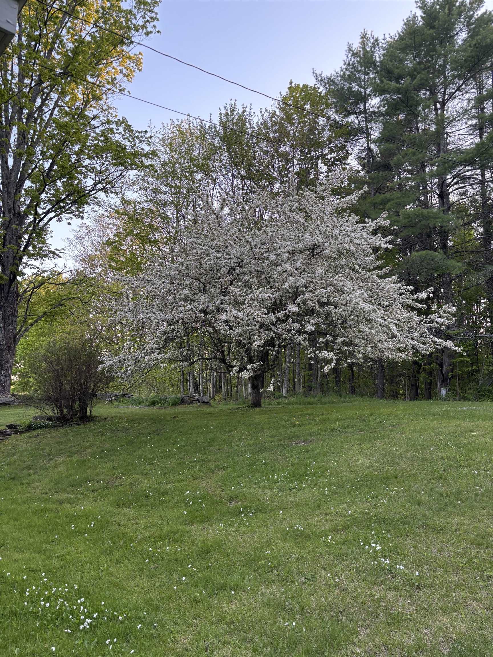 509 Elm Street Property Photo 59