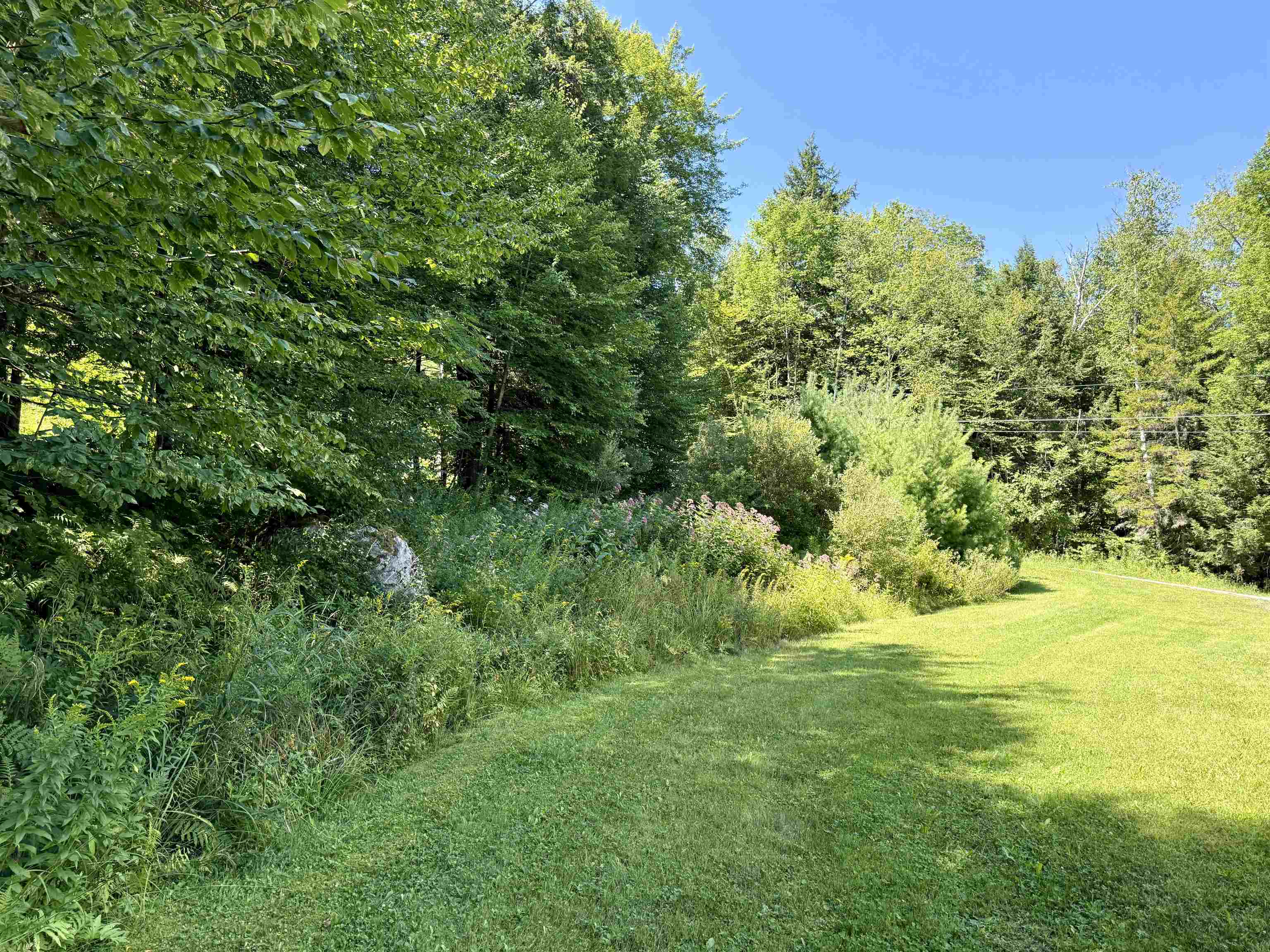 3713 Trebo Road Property Photo 23