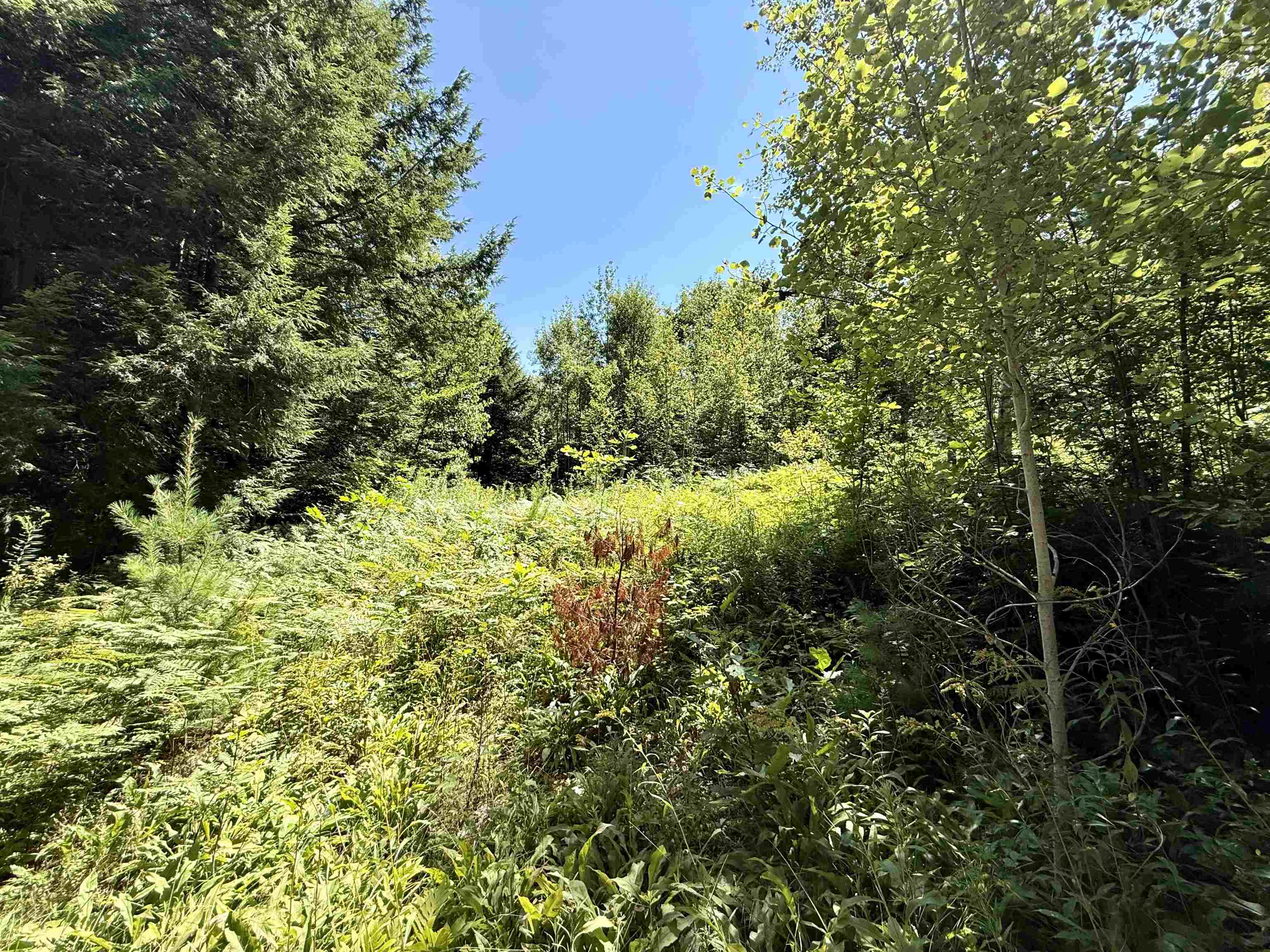 3713 Trebo Road Property Photo 24