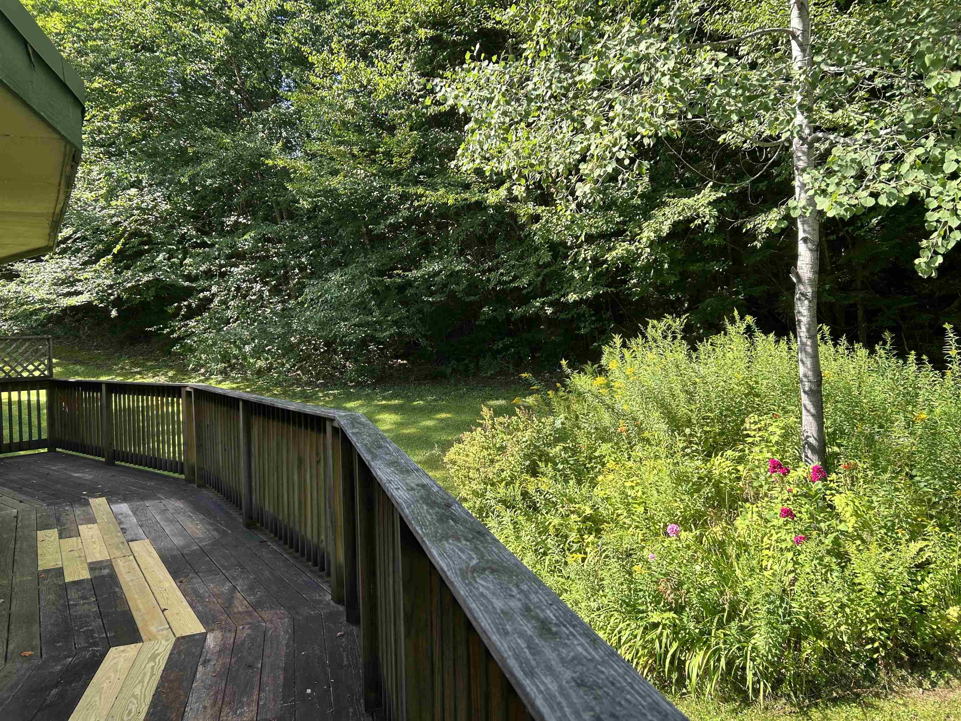 17 Willis Road Property Photo 10
