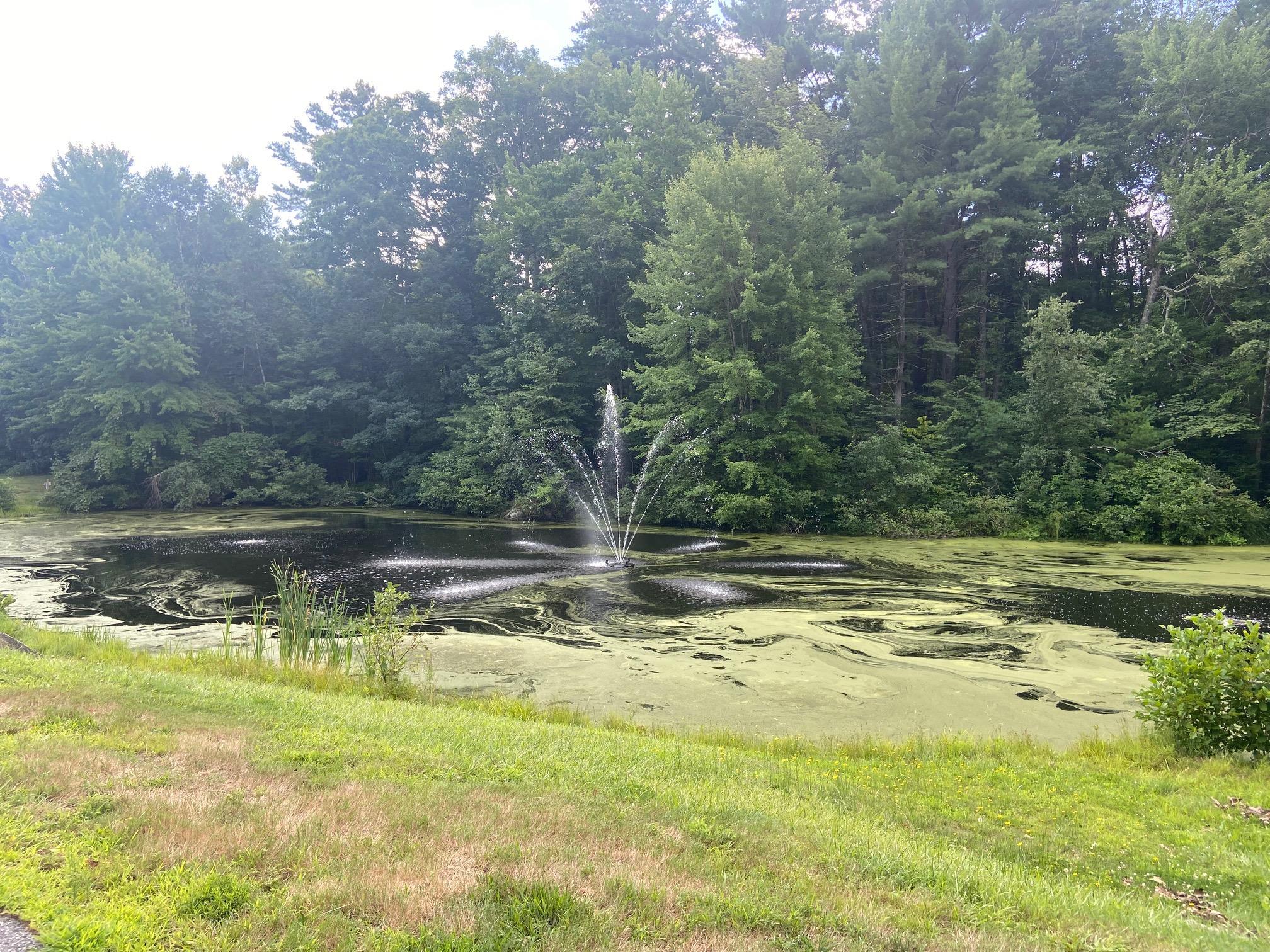 2 Rocky Ledge Road Property Photo 39