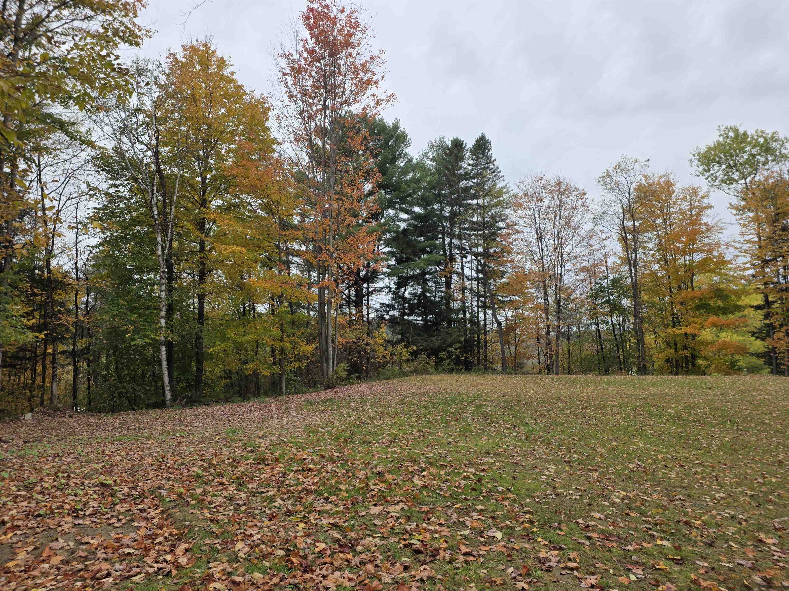 103 Passumpsic Street Property Photo 3