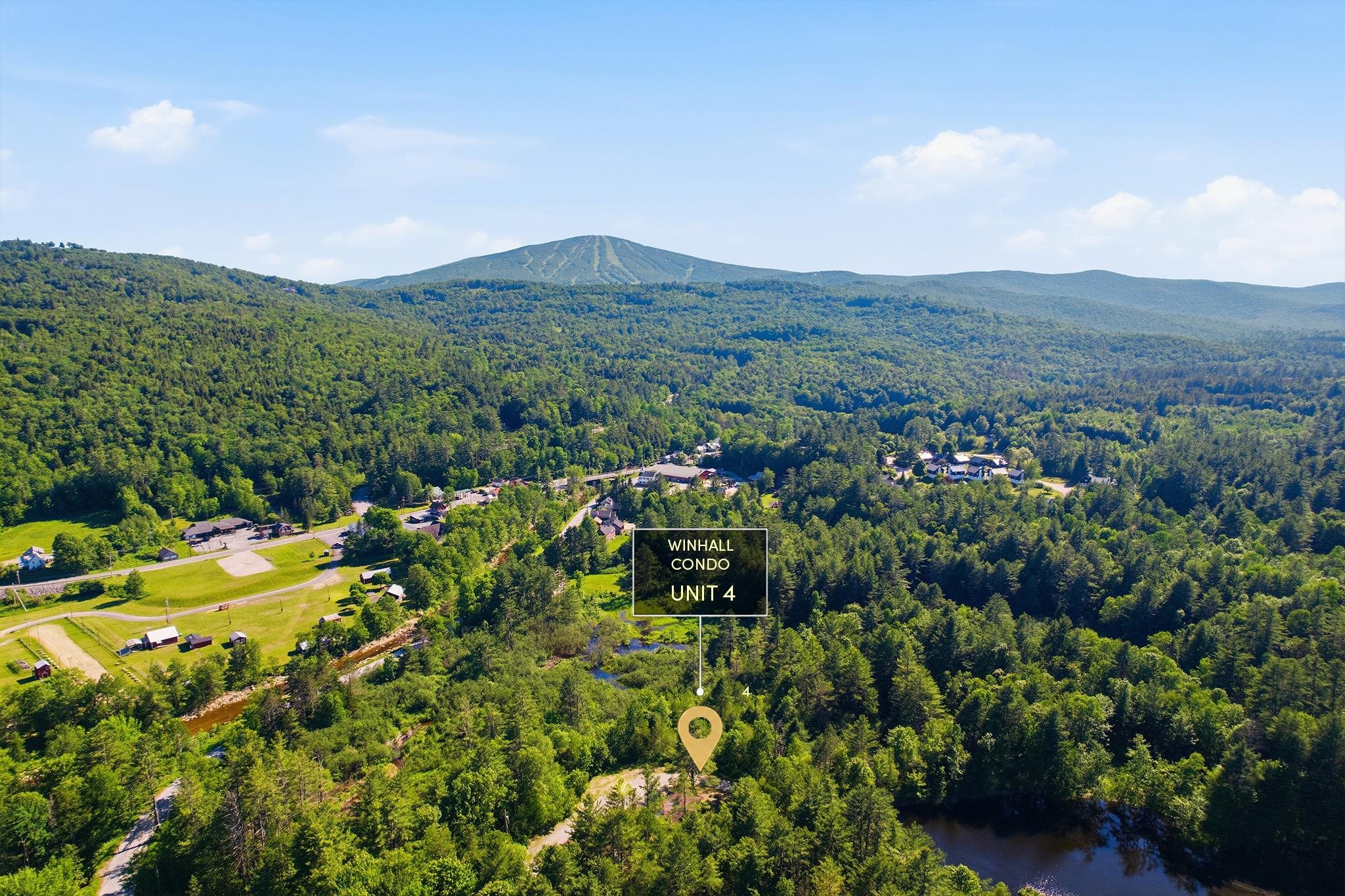 19 Winhall Condo Road Property Photo 29