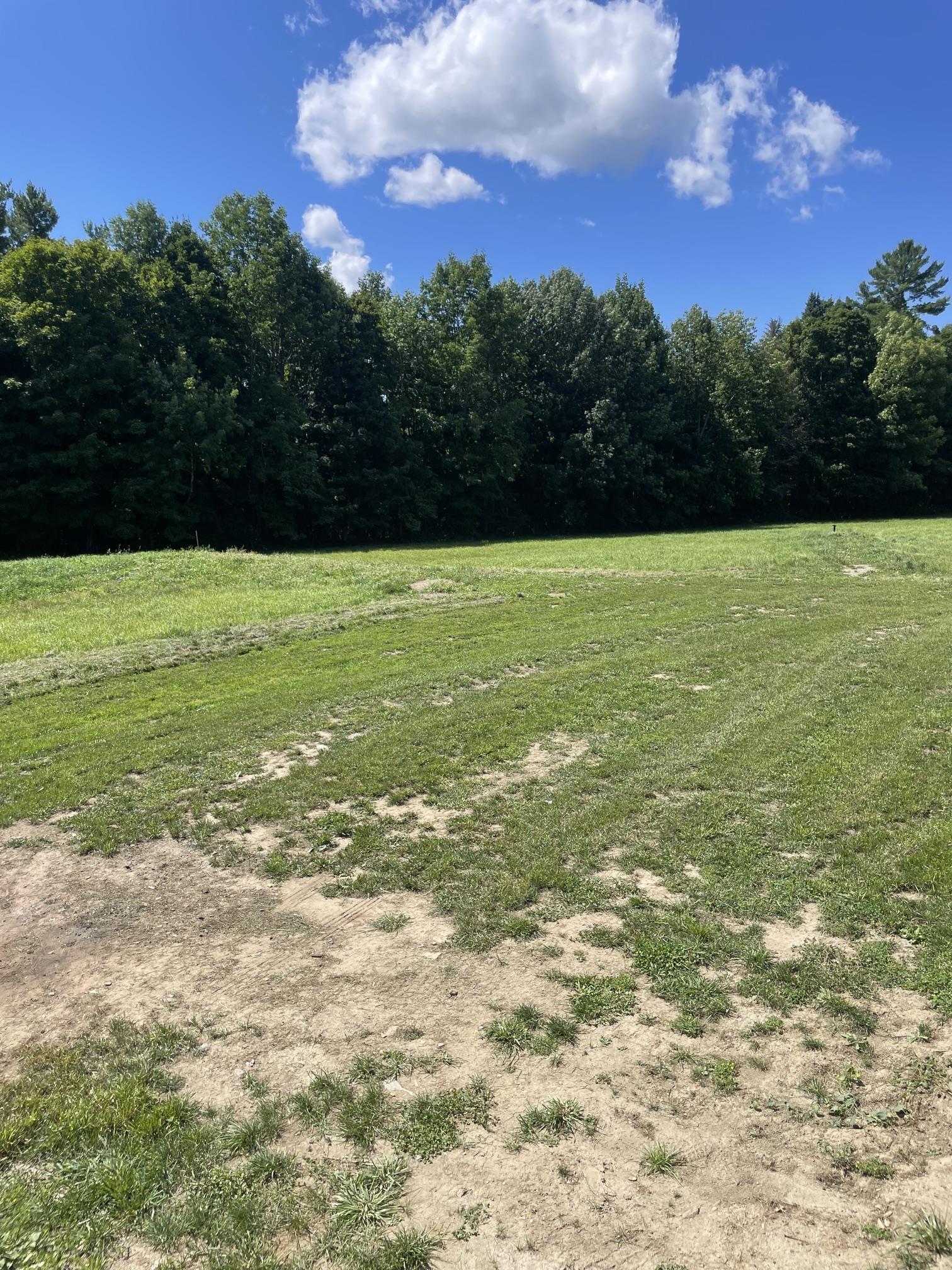 514 Montgomery Road Property Photo 18