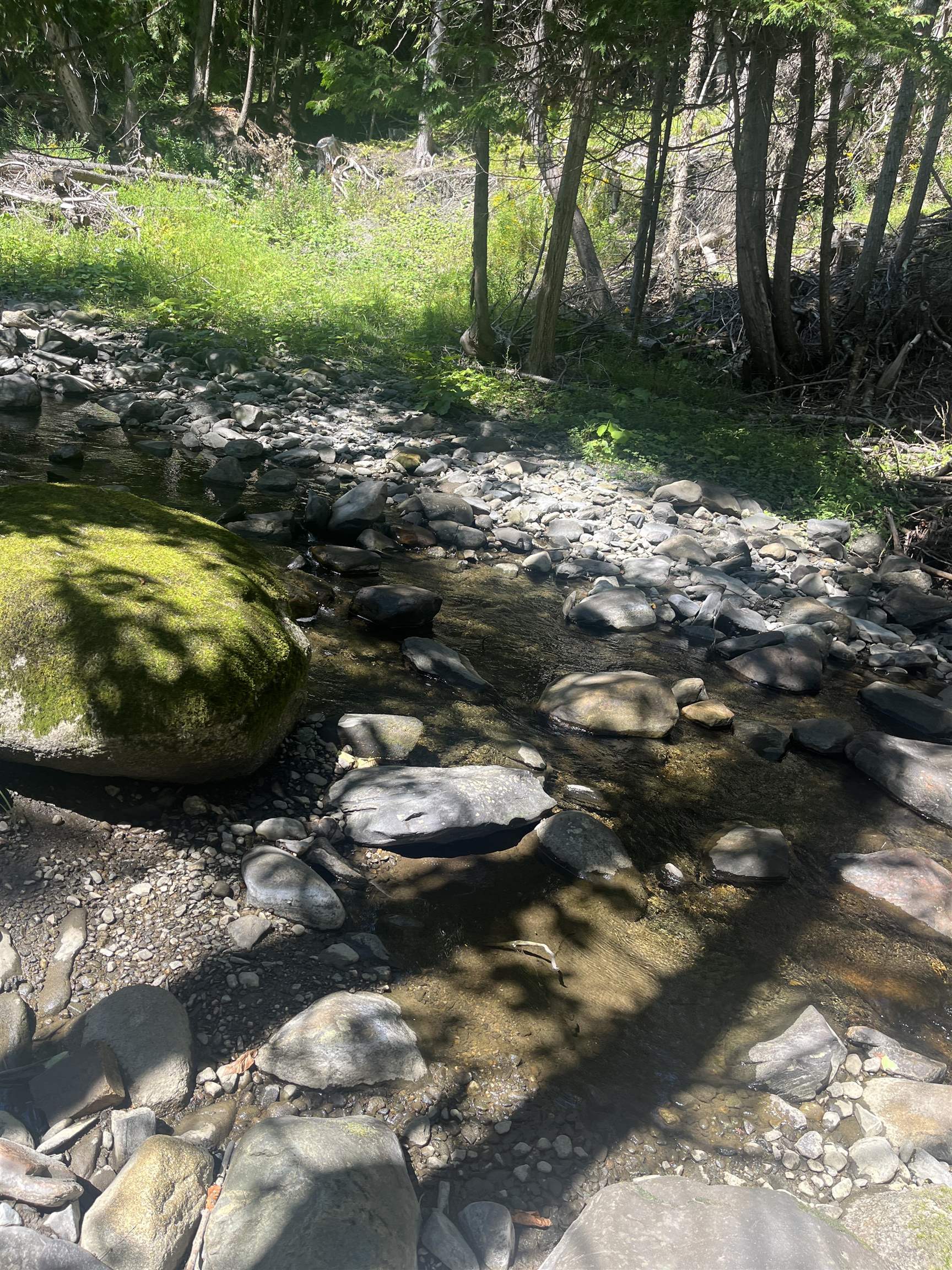 1230 Roaring Brook Road Property Photo 22