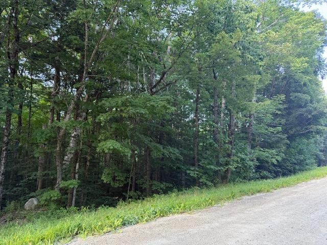 0 Sylvan Ridge Road Property Photo 3