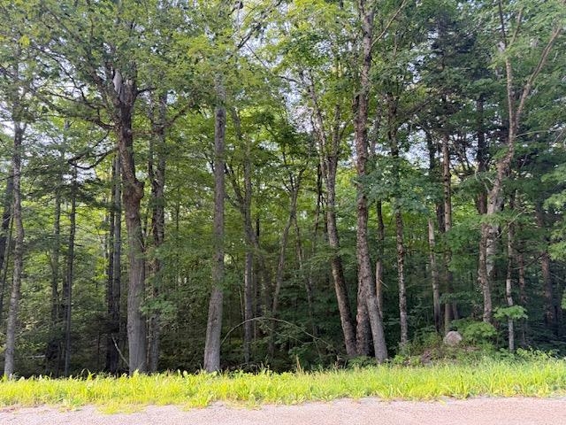 0 Sylvan Ridge Road Property Photo 4