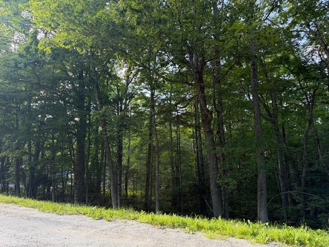 0 Sylvan Ridge Road Property Photo 5