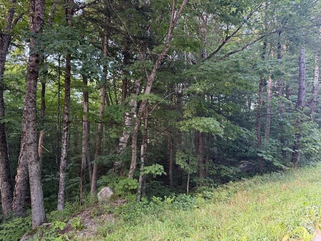 0 Sylvan Ridge Road Property Photo 6