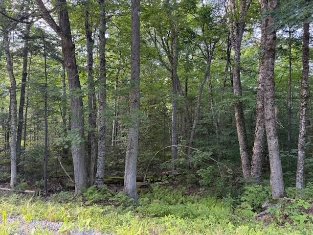 0 Sylvan Ridge Road Property Photo 7