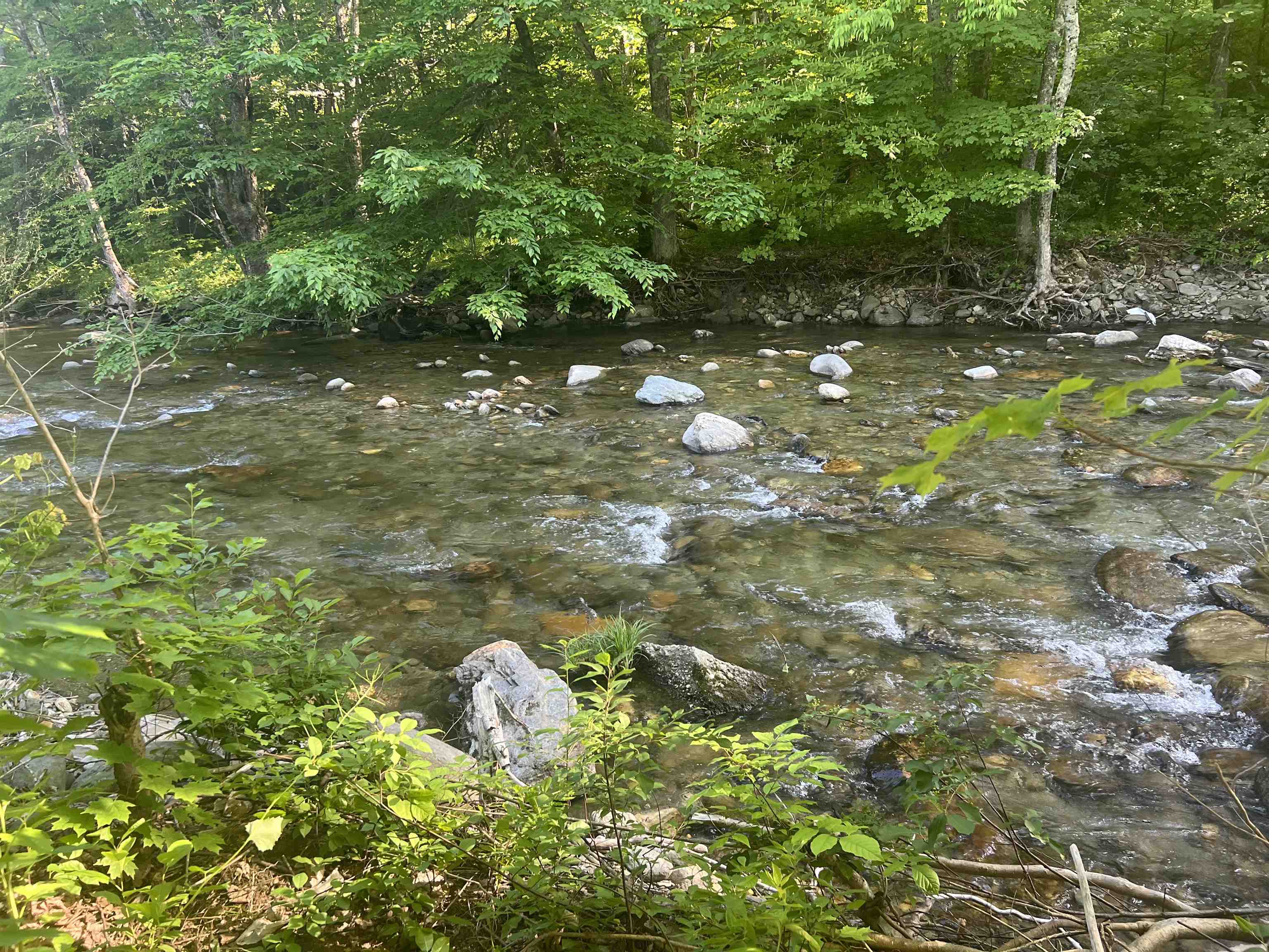 43 Vt Rte 17 Property Photo 13