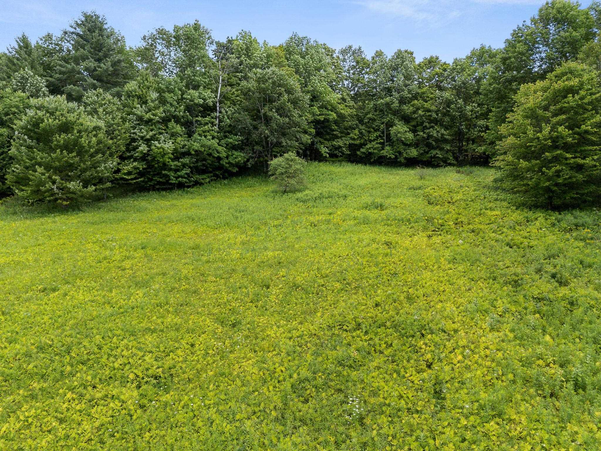 55 Stuart Lane Property Photo 13