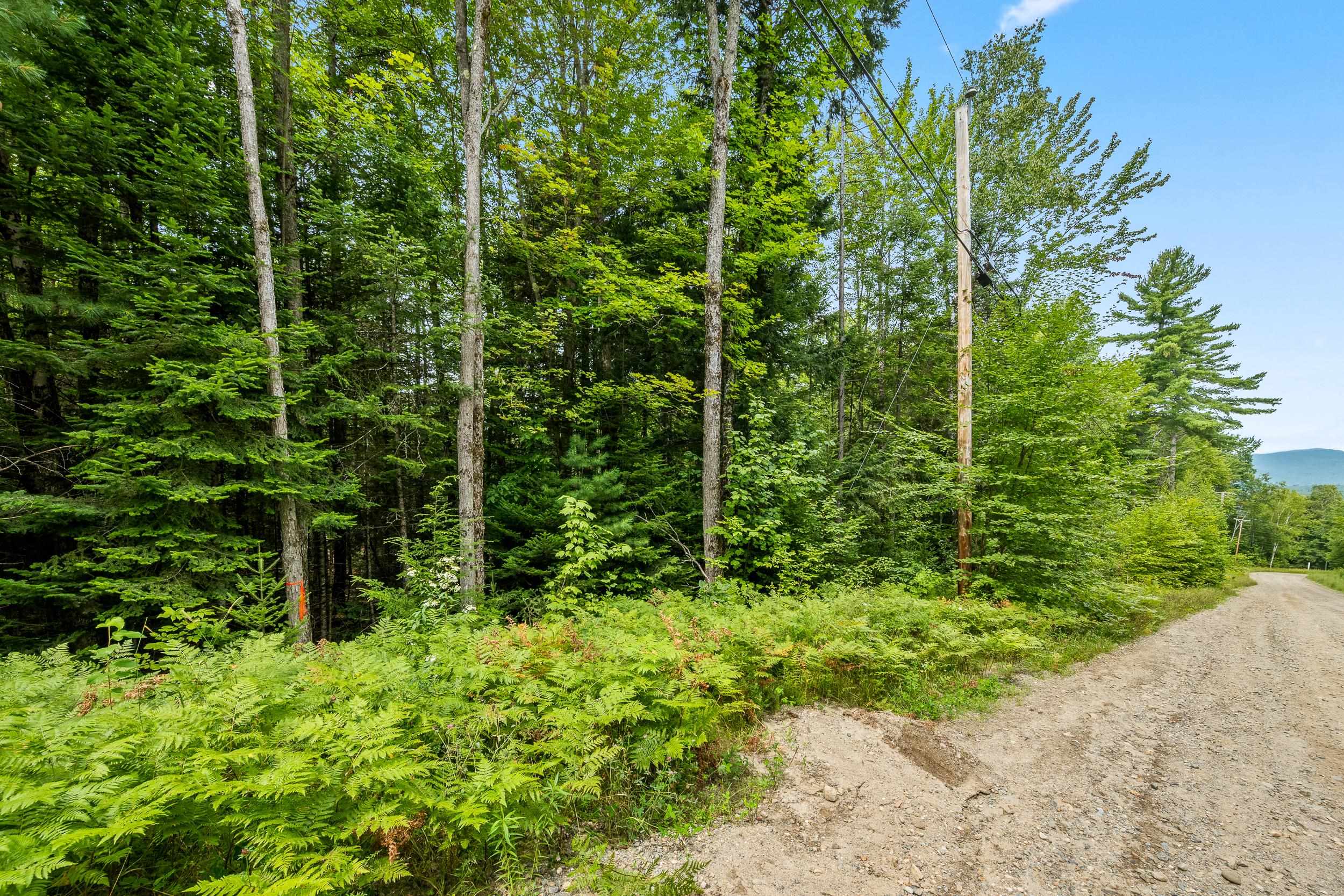 00 Osgood Farm Road Property Photo 7