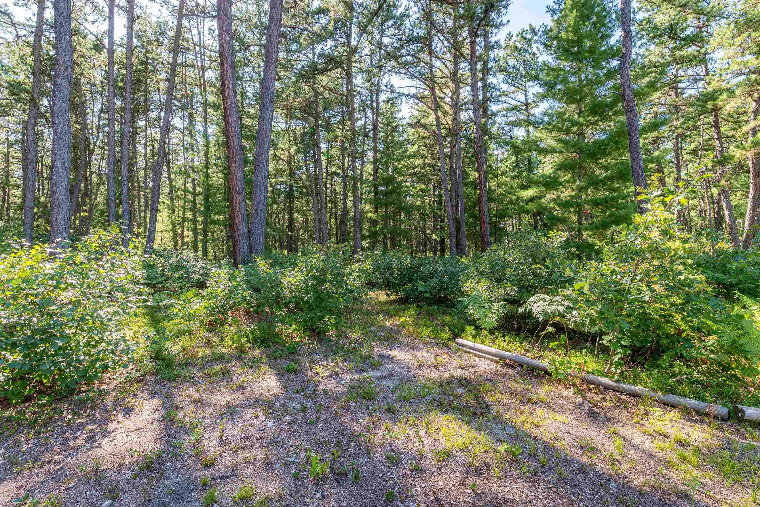 36 Walnut Loop Property Photo 12