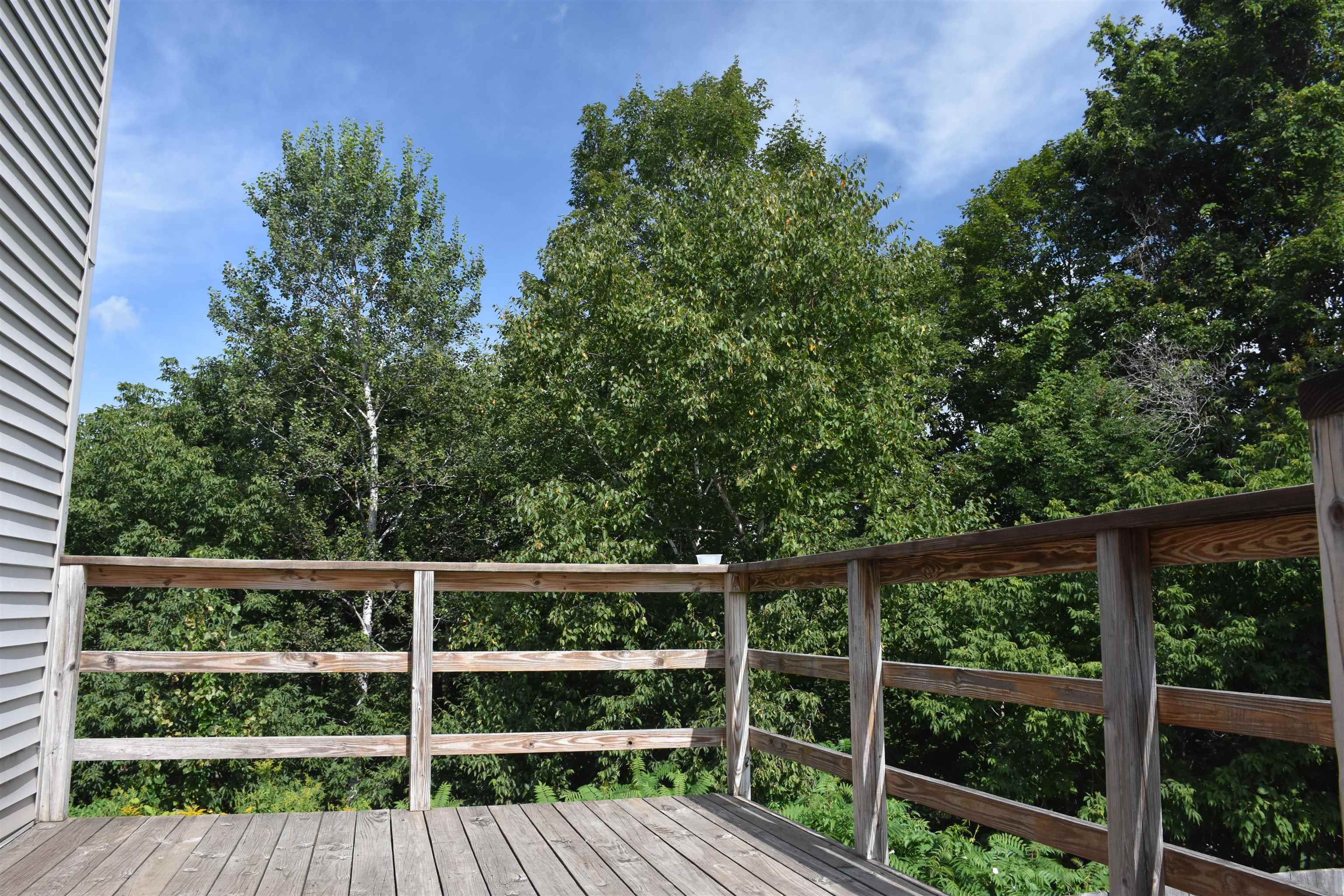 14 Clark Street Property Photo 19