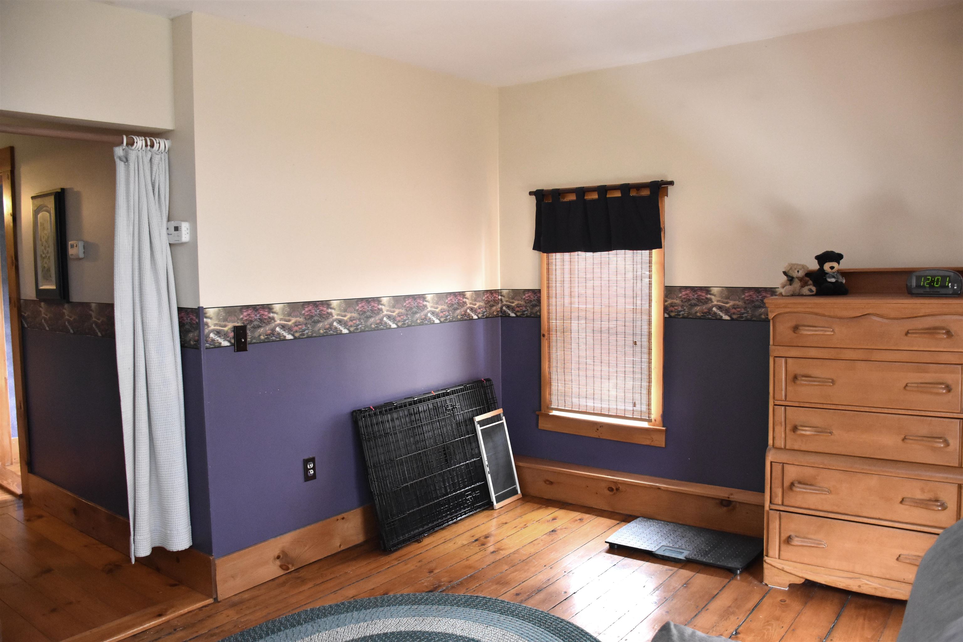 14 Clark Street Property Photo 37