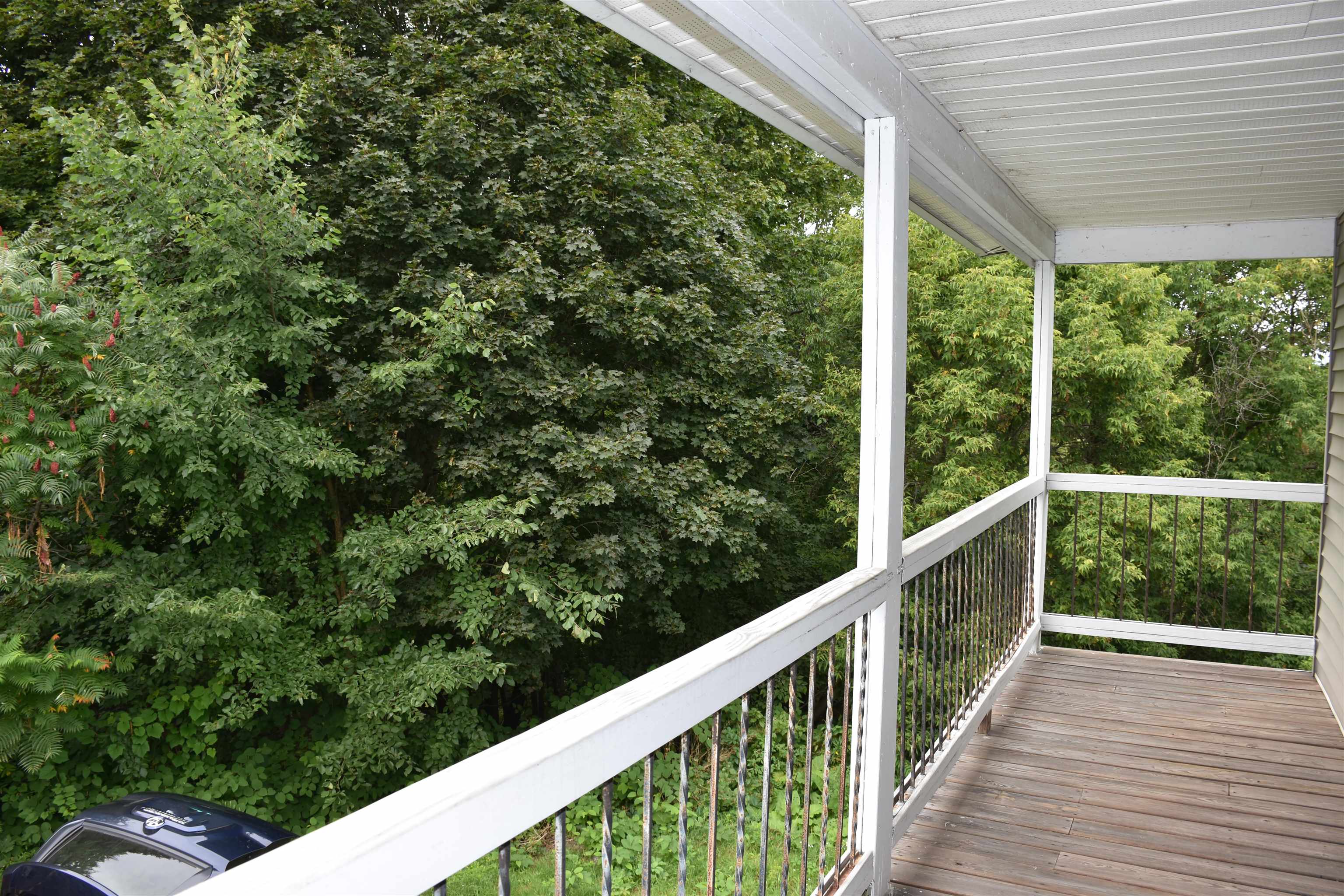 14 Clark Street Property Photo 41