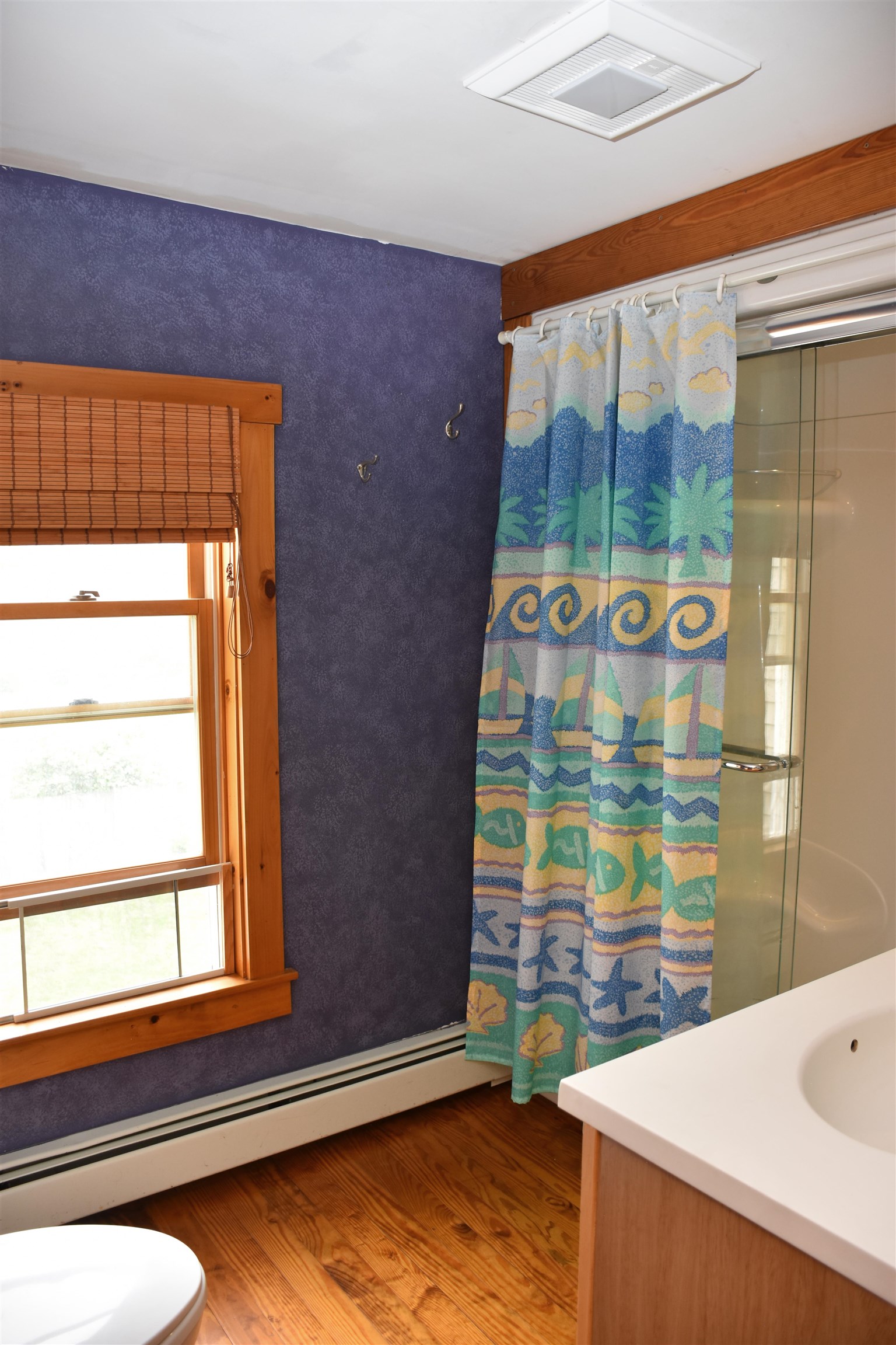 14 Clark Street Property Photo 42