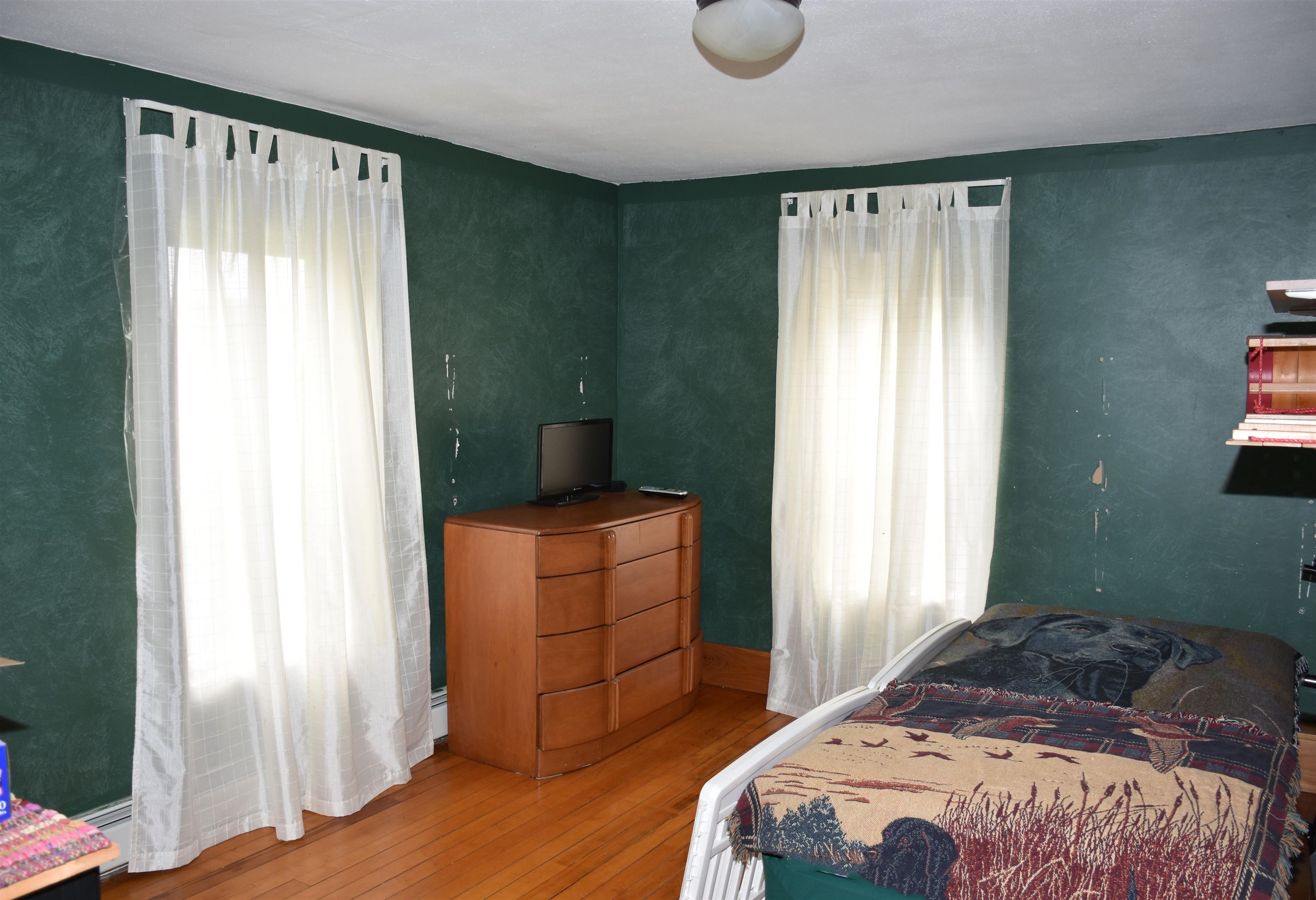 14 Clark Street Property Photo 45