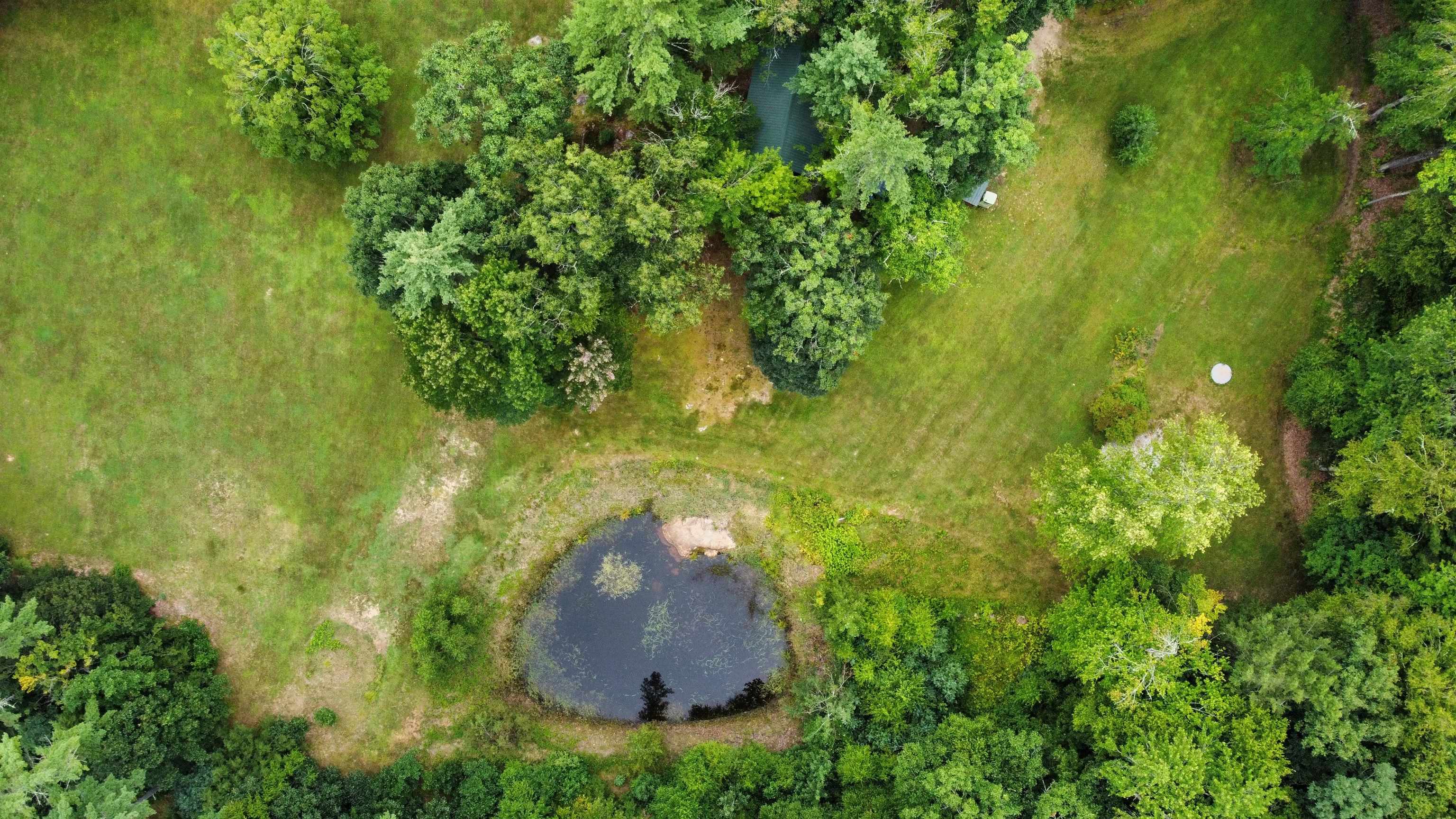 60 Forest Lake Road Property Photo 44