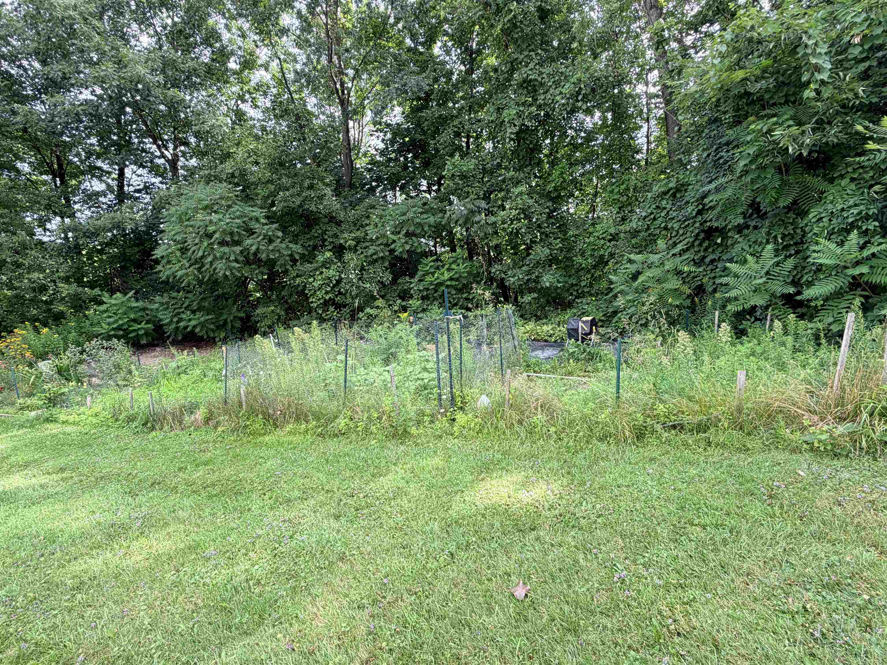 197 Hildred Drive Property Photo 11