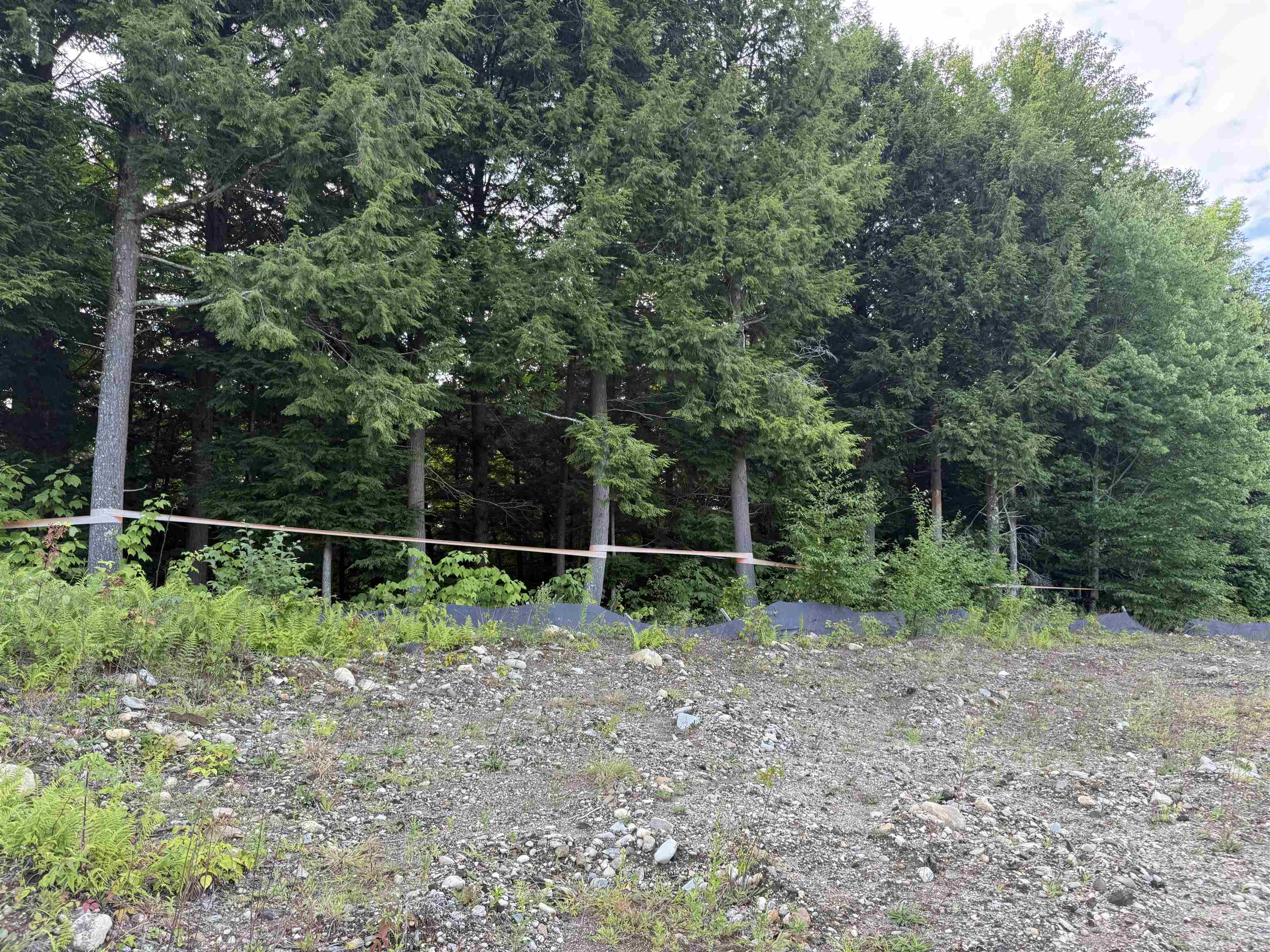 2 Dusty Swamp Road Property Photo 7