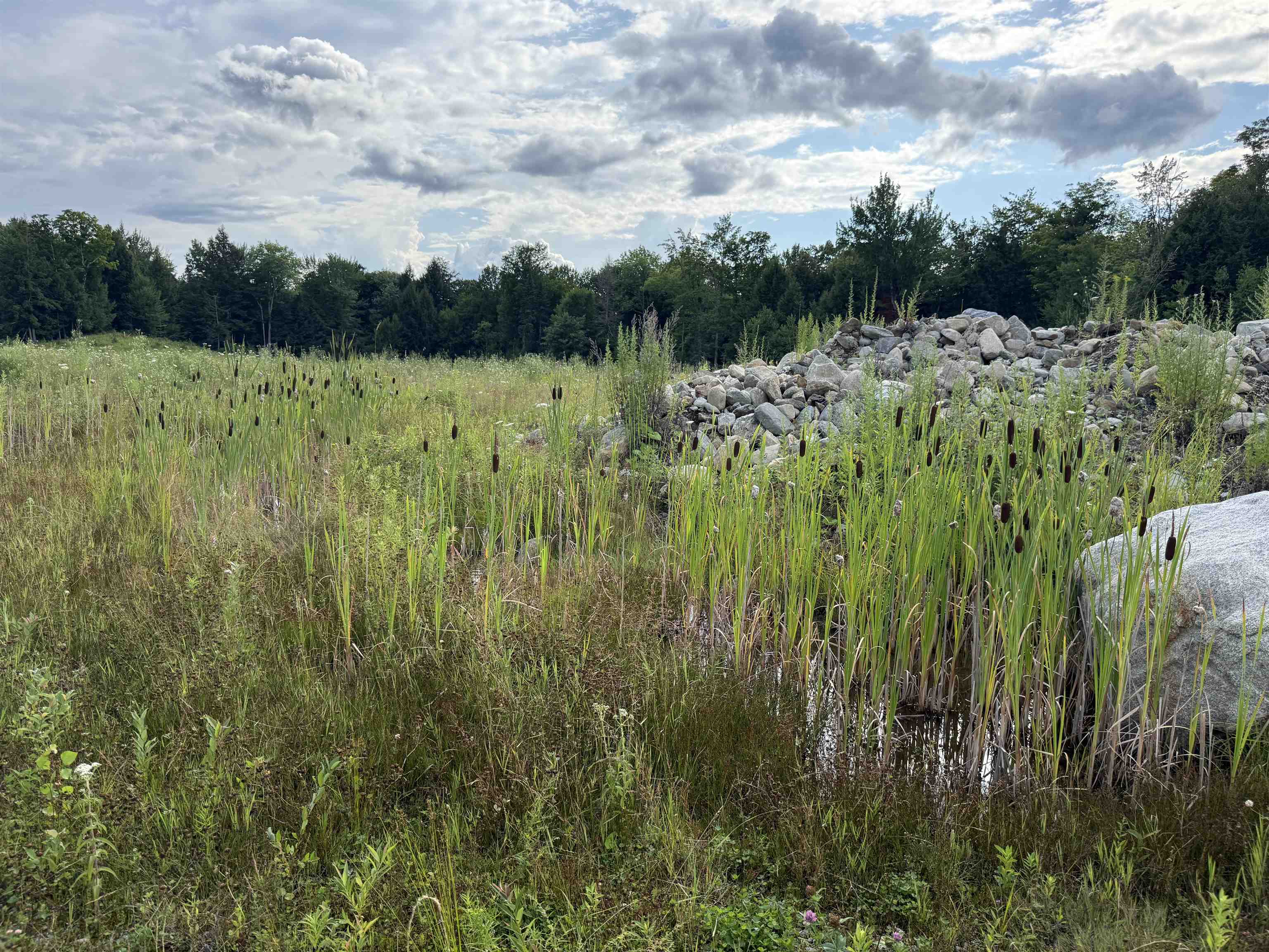 2 Dusty Swamp Road Property Photo 8