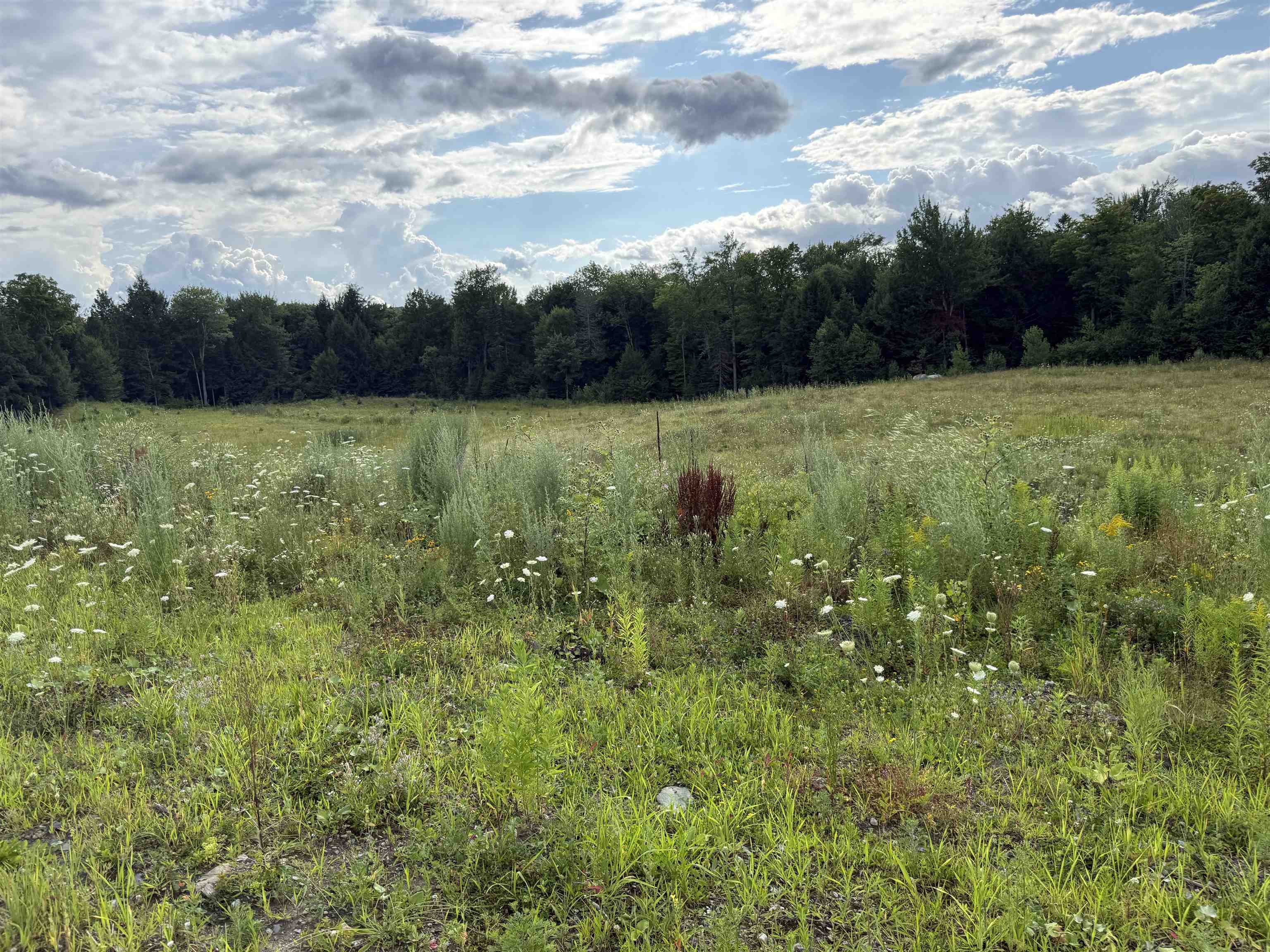 2 Dusty Swamp Road Property Photo 9