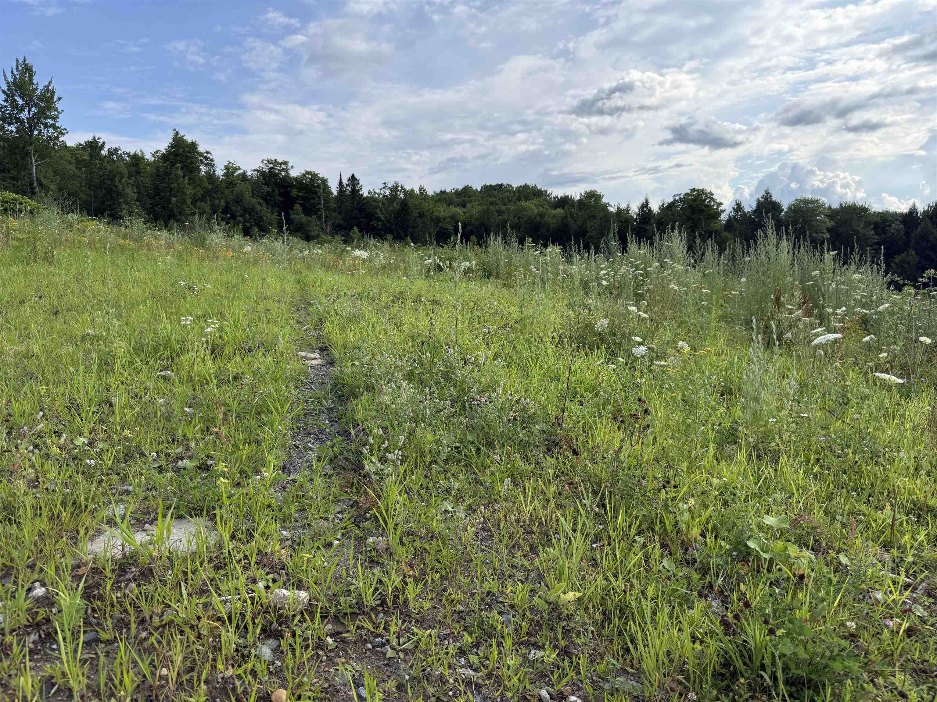 2 Dusty Swamp Road Property Photo 10