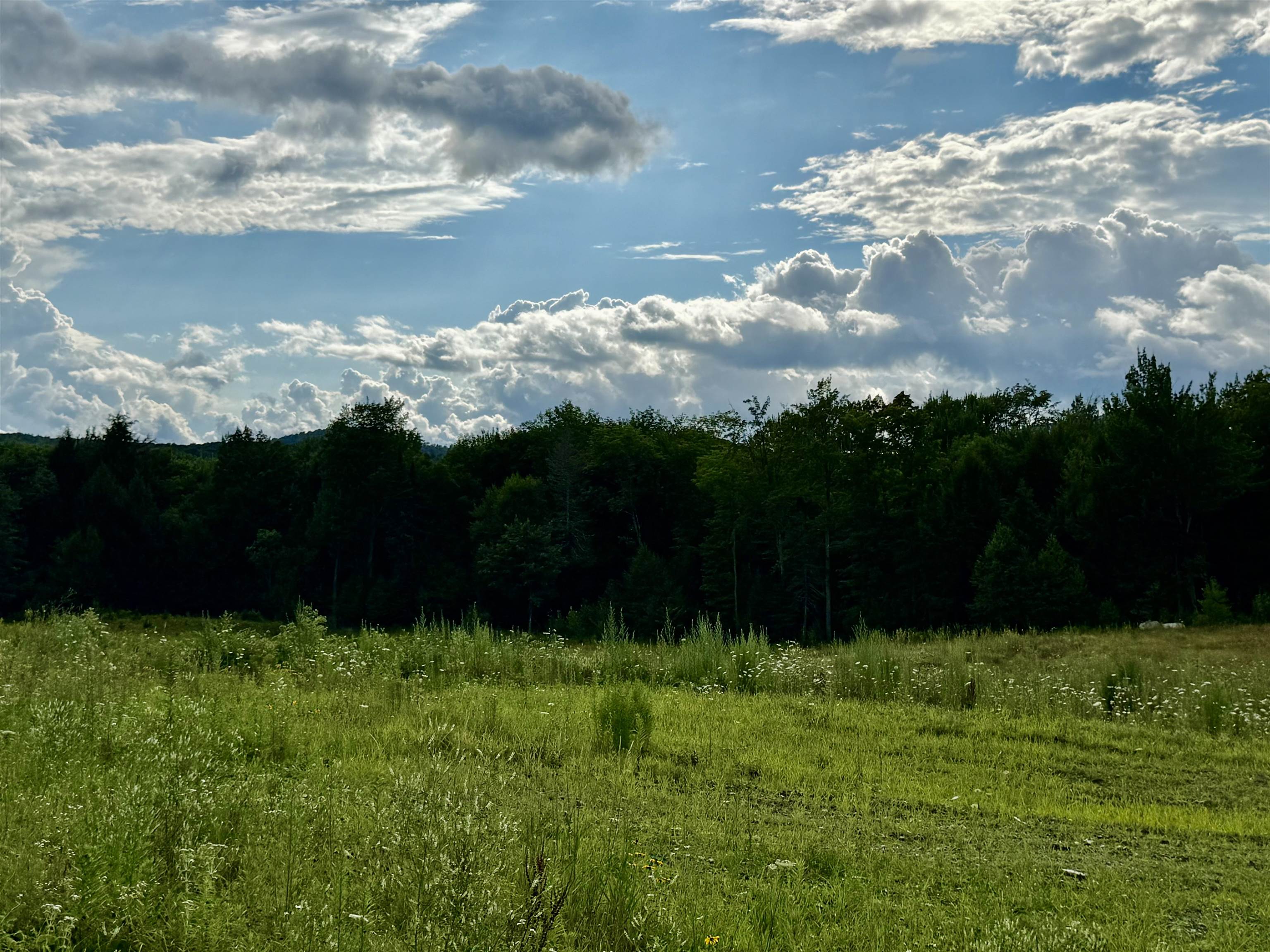 2 Dusty Swamp Road Property Photo 11