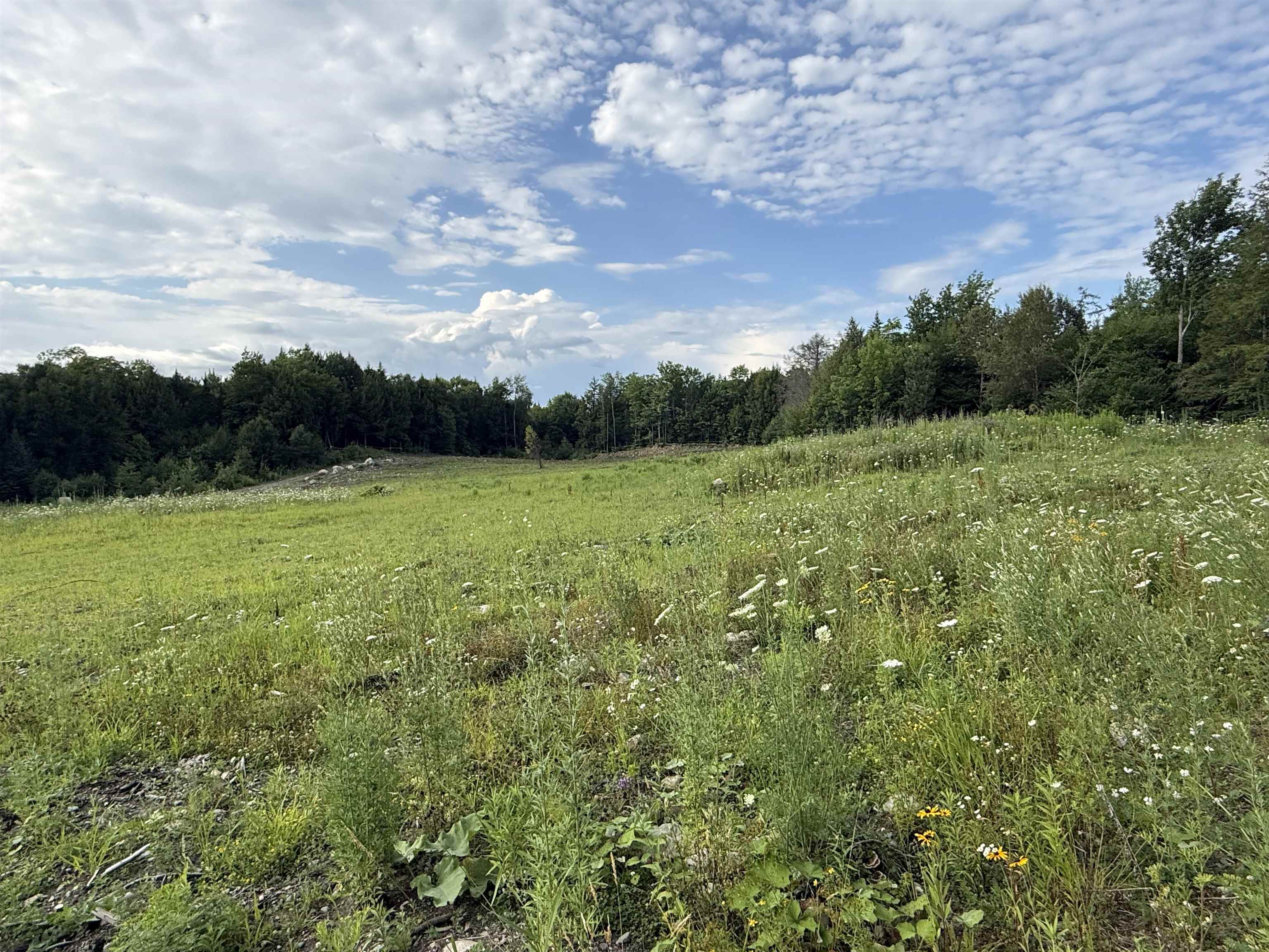 2 Dusty Swamp Road Property Photo 12