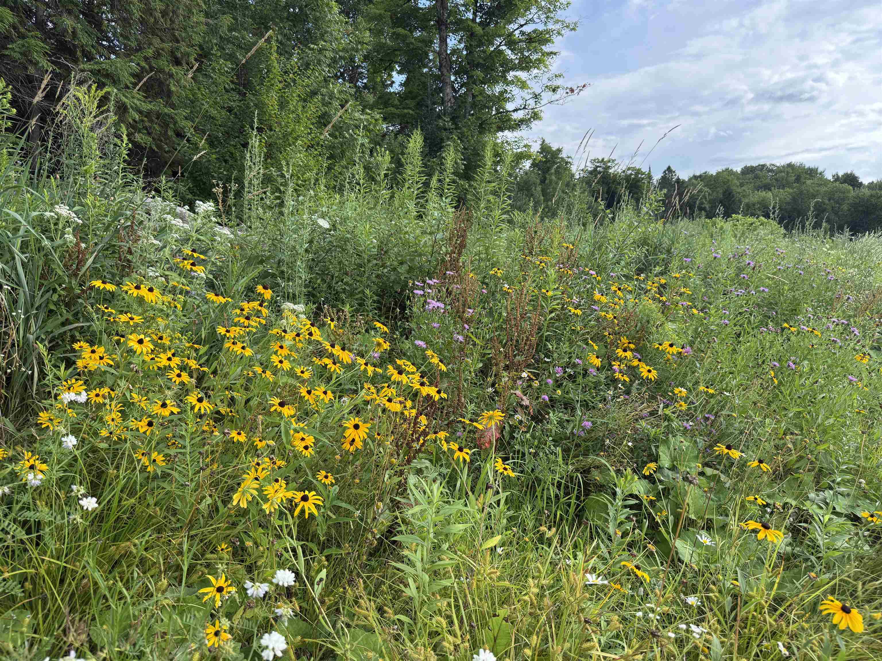 2 Dusty Swamp Road Property Photo 13