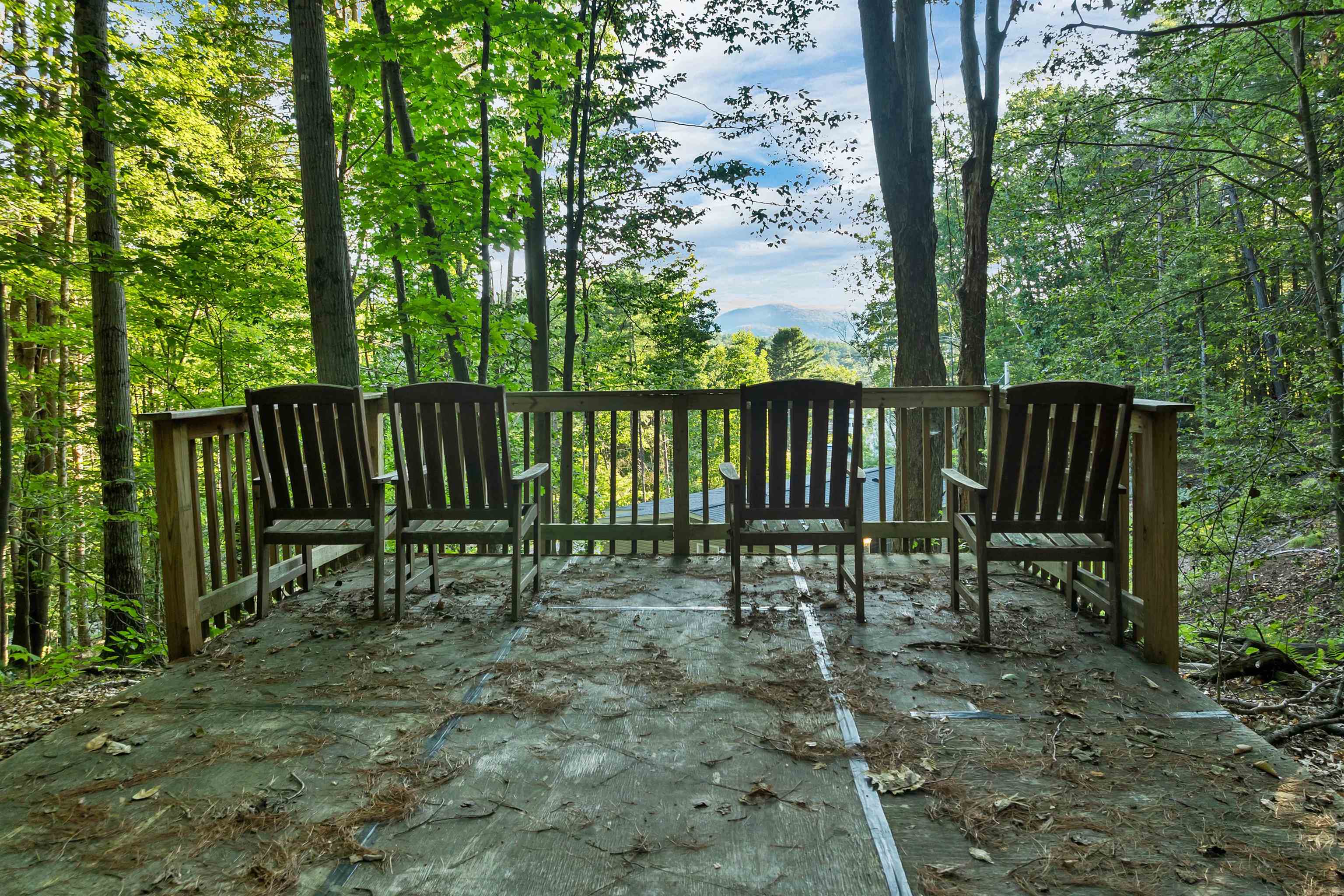 48 Harold Avery Road Property Photo 42