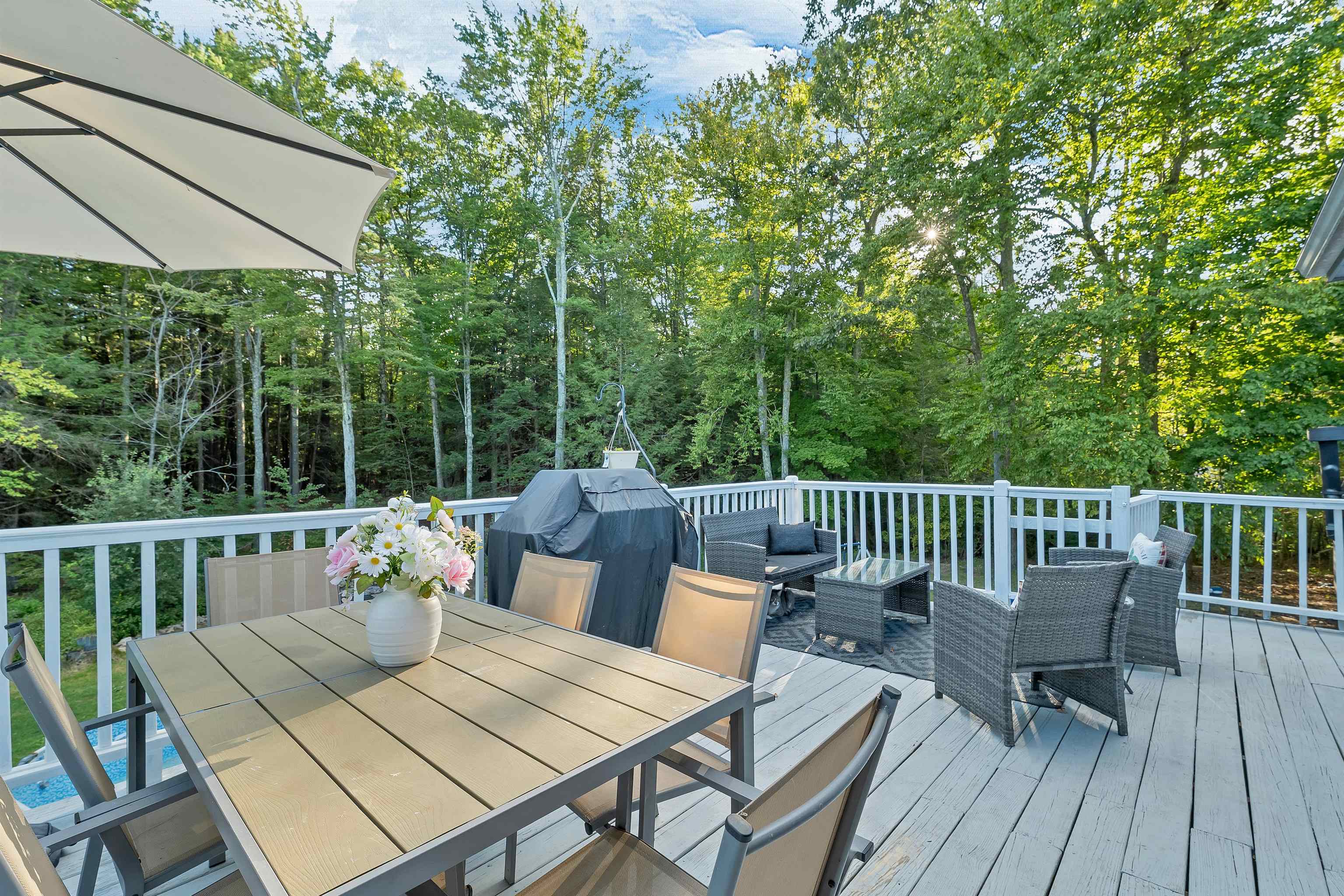 26 Brian Street Property Photo 25