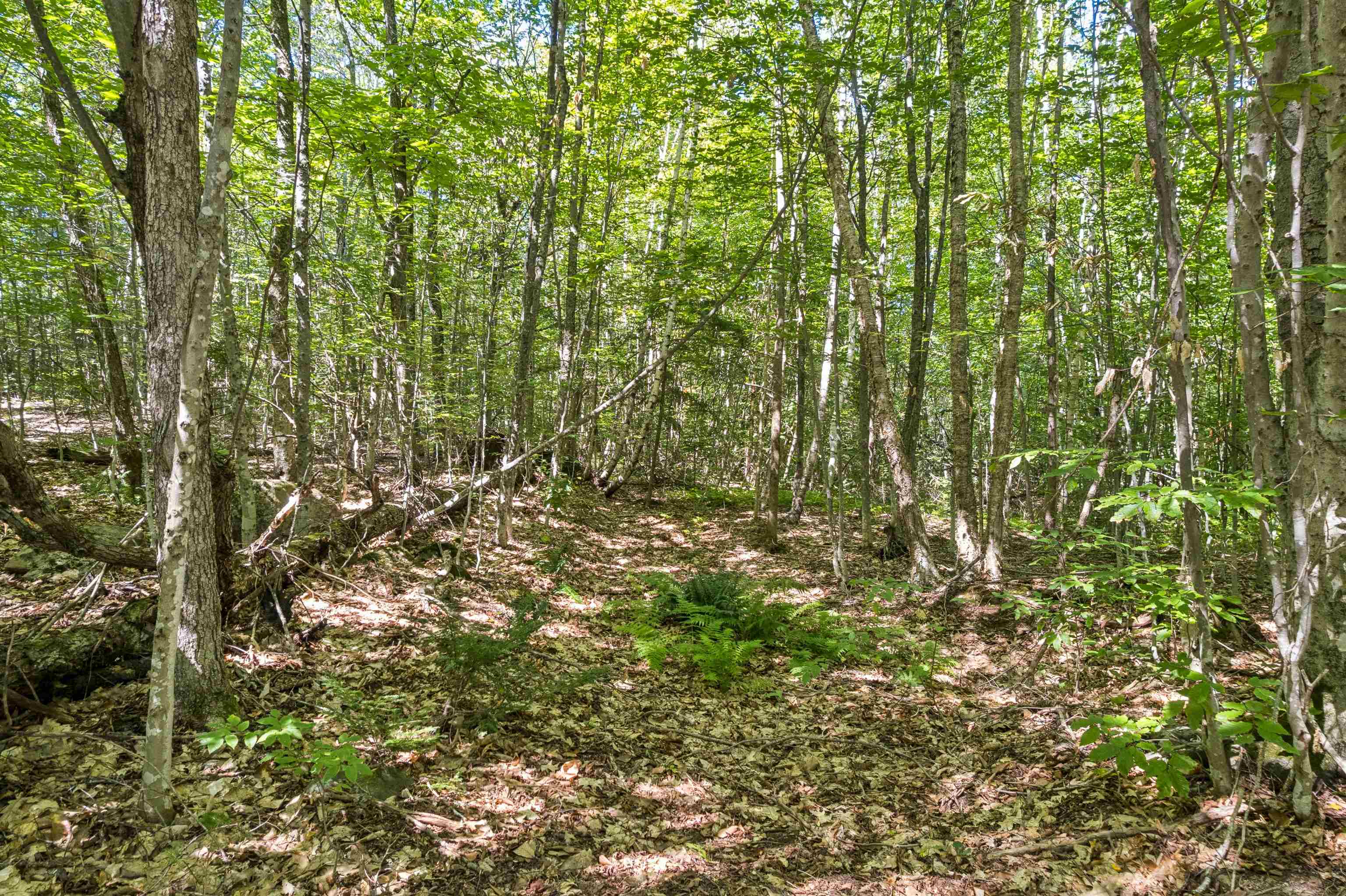 0 Ayers Road Property Photo 6