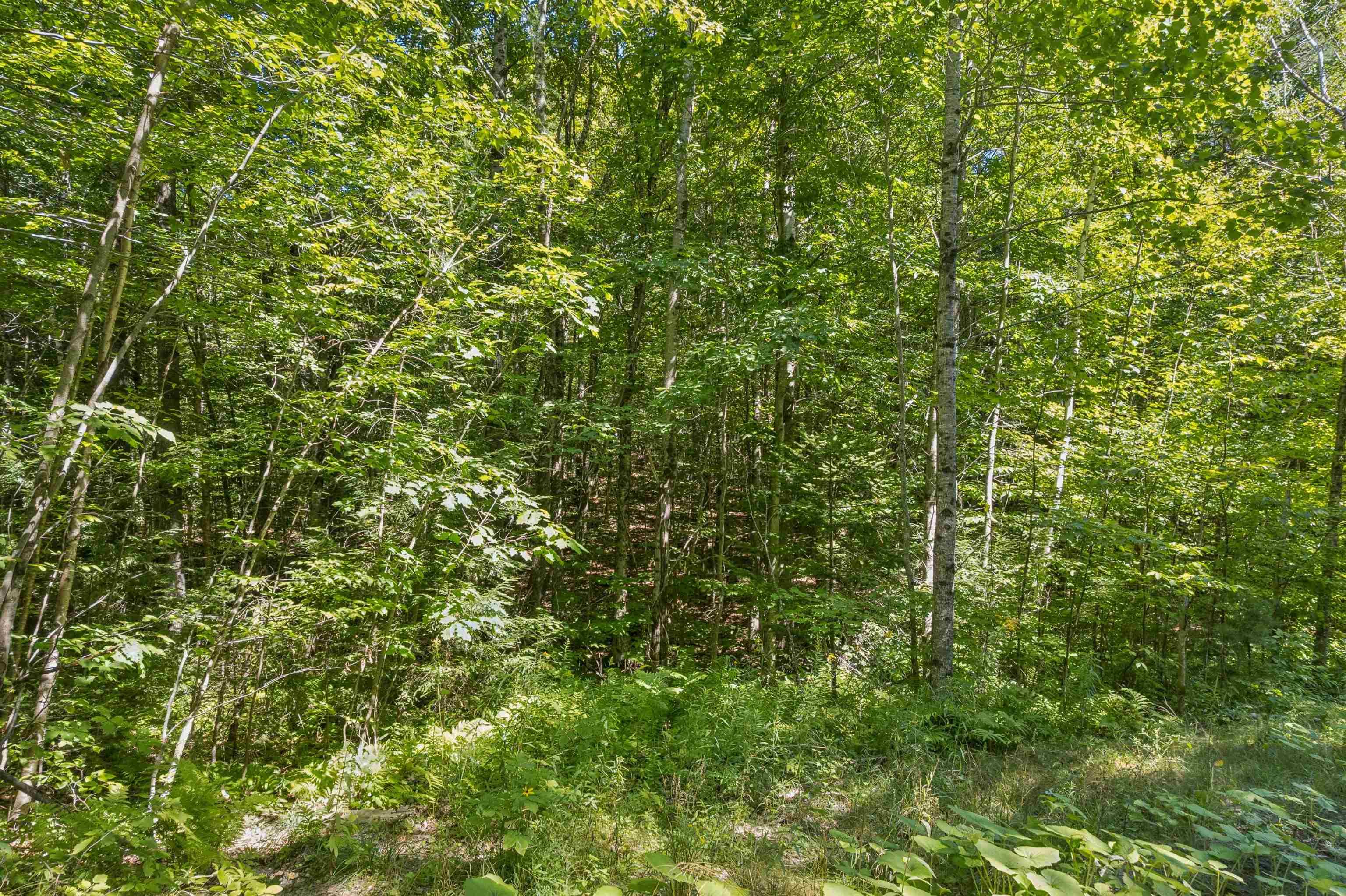 0 Ayers Road Property Photo 7