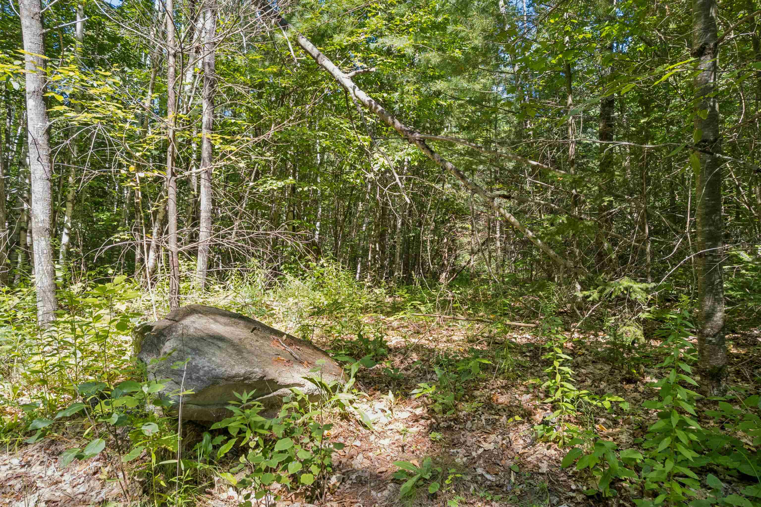 0 Ayers Road Property Photo 8