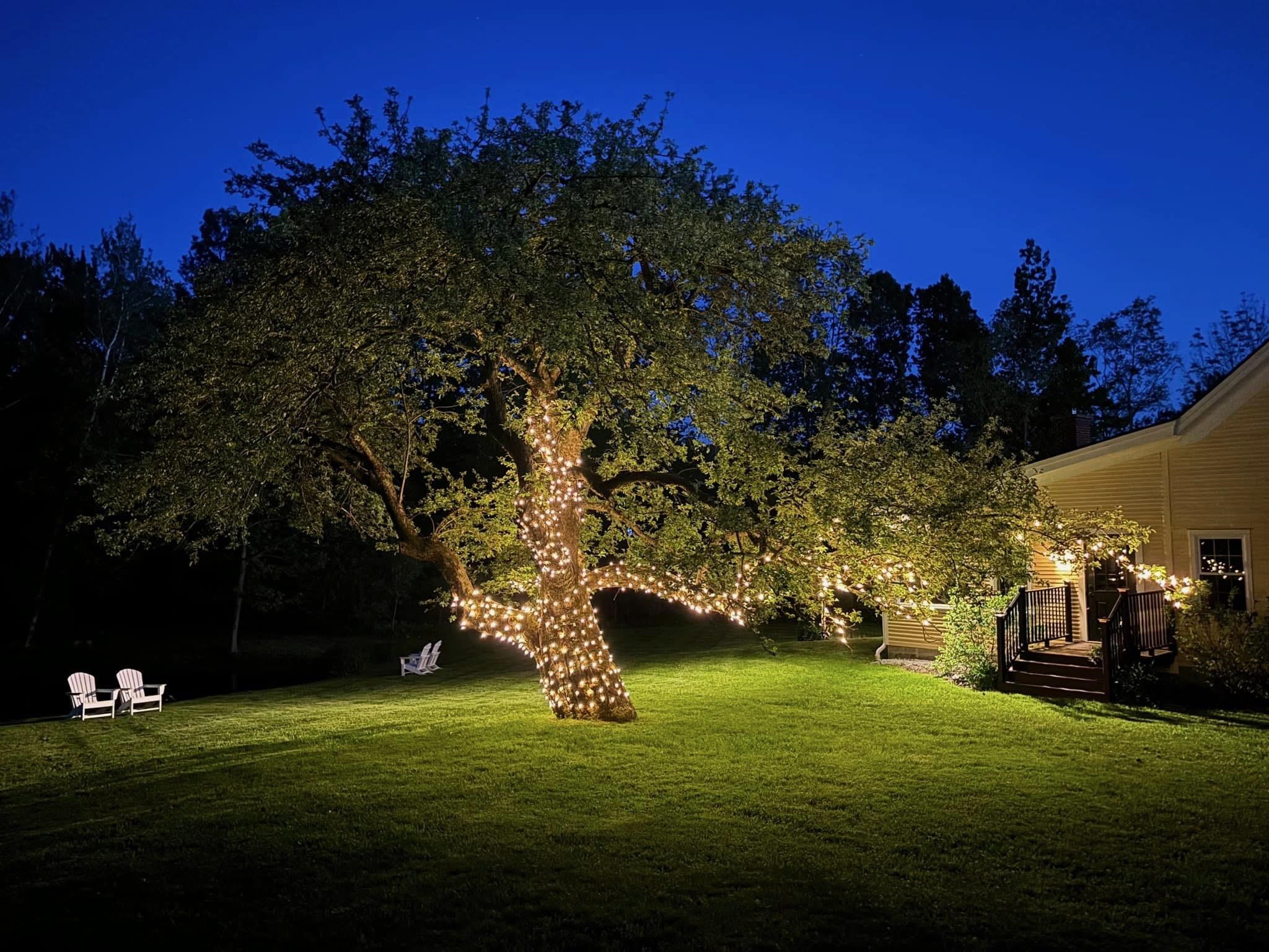 54 Red Clover Lane Property Photo 45