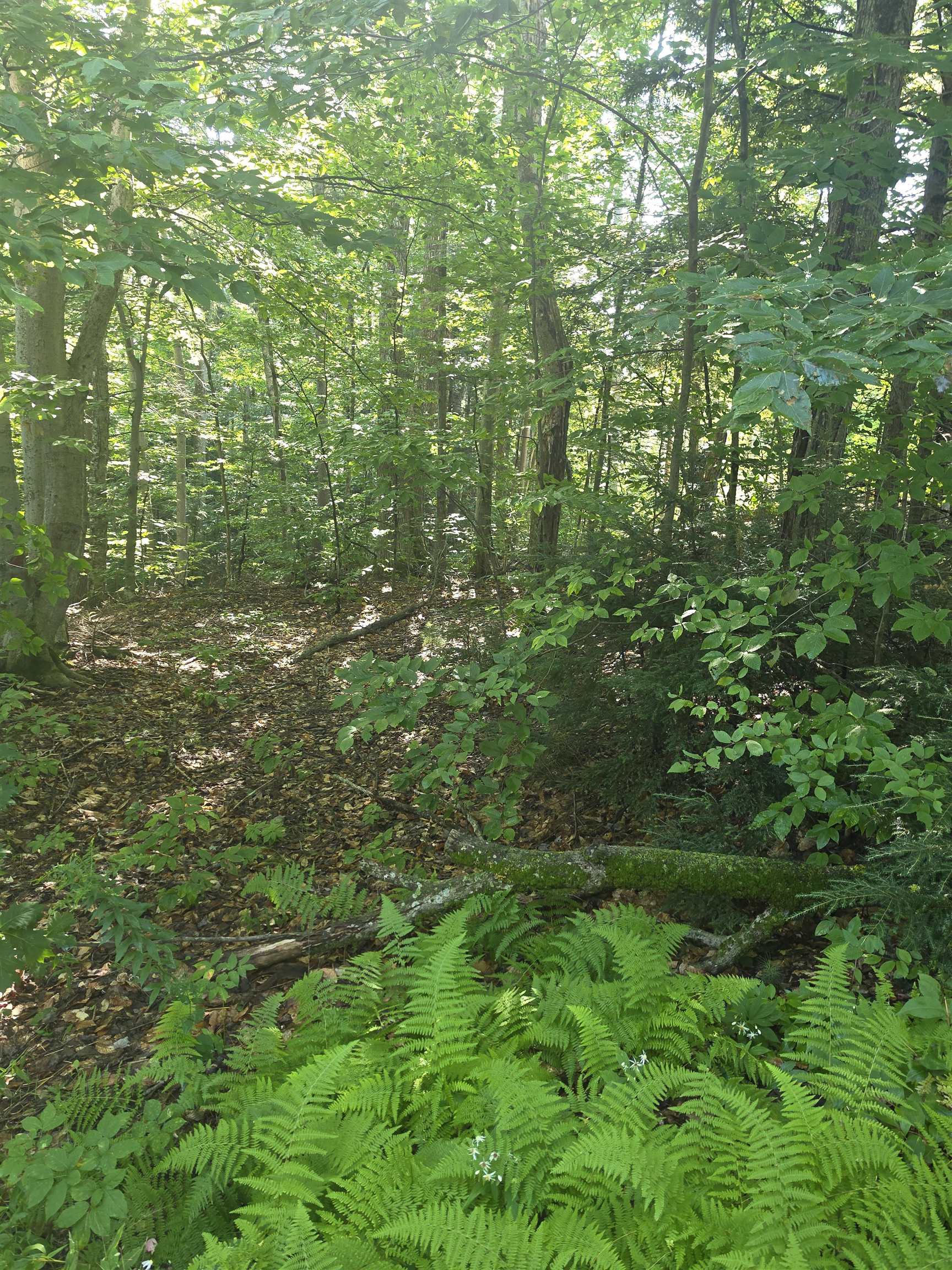 00 Allard Farm Circuit Property Photo 1