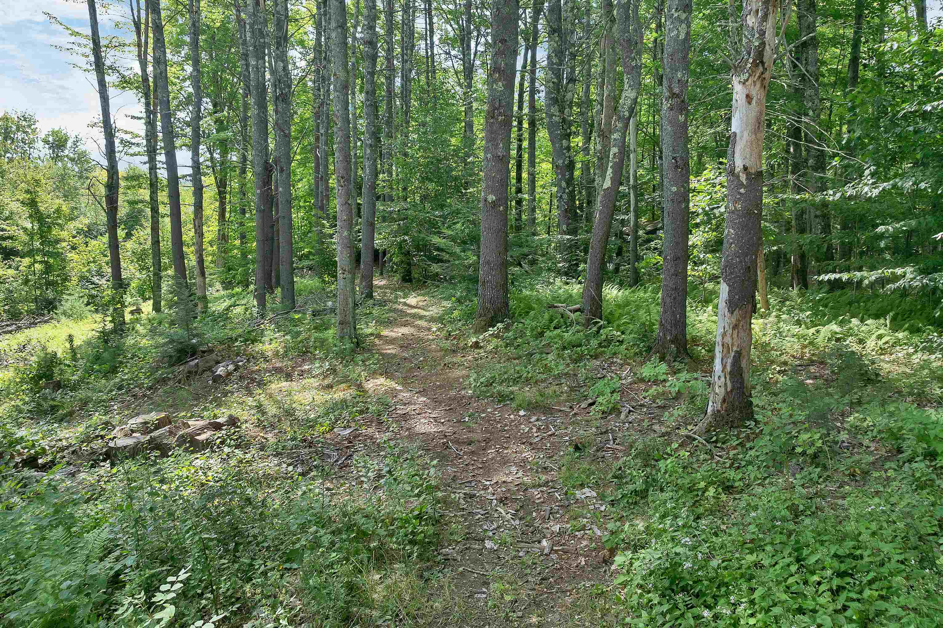 13 Winona Shores Road Property Photo 15