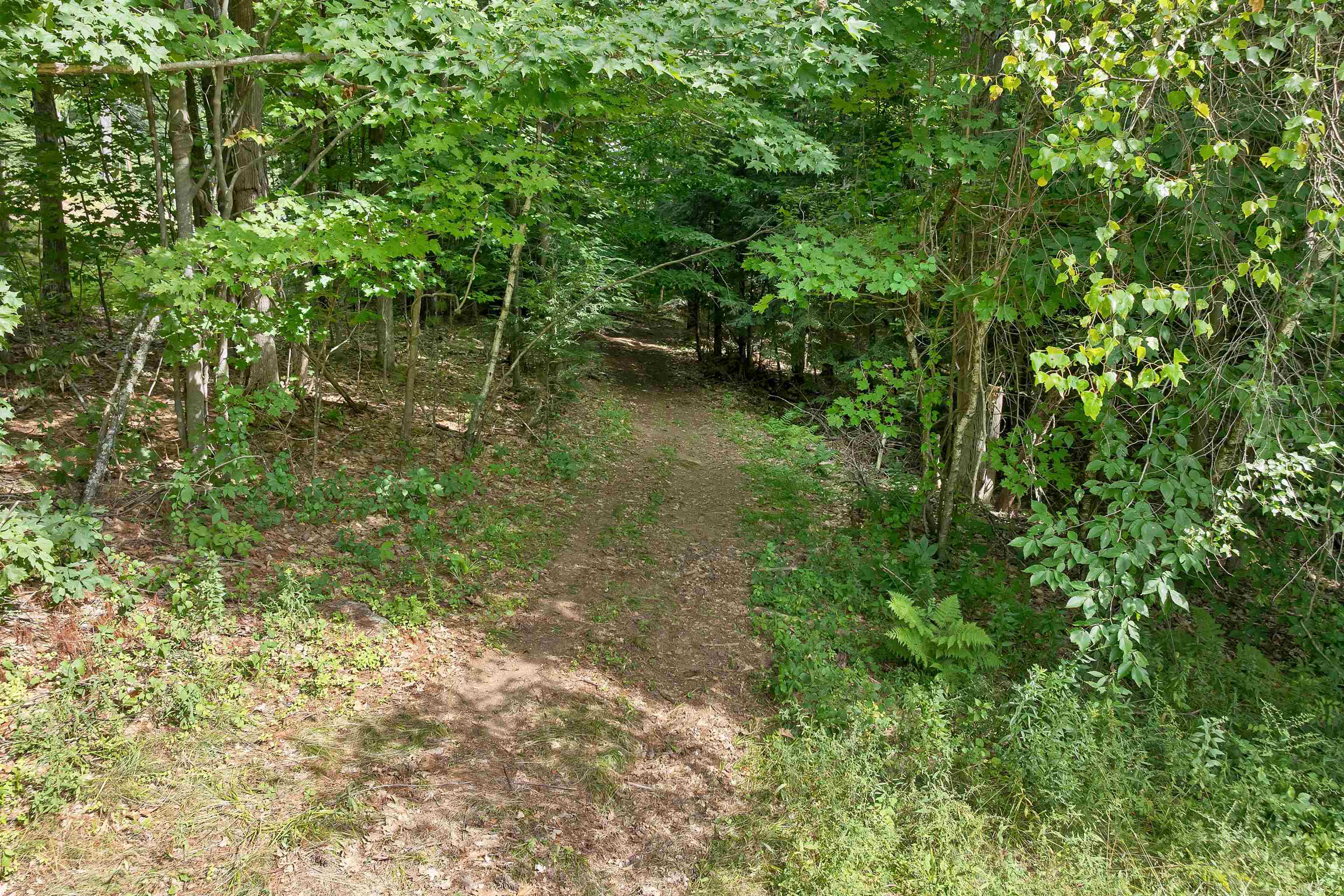 13 Winona Shores Road Property Photo 17
