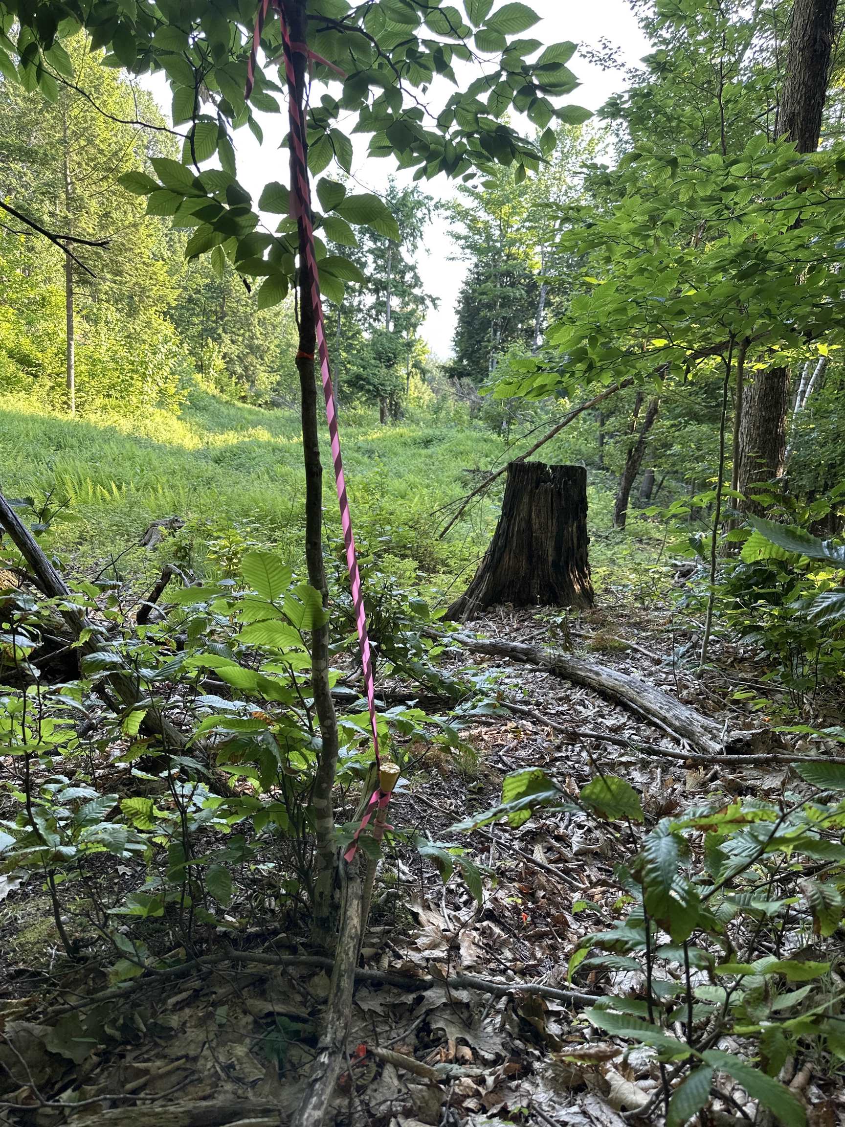 000 Monroe Road Property Photo 12