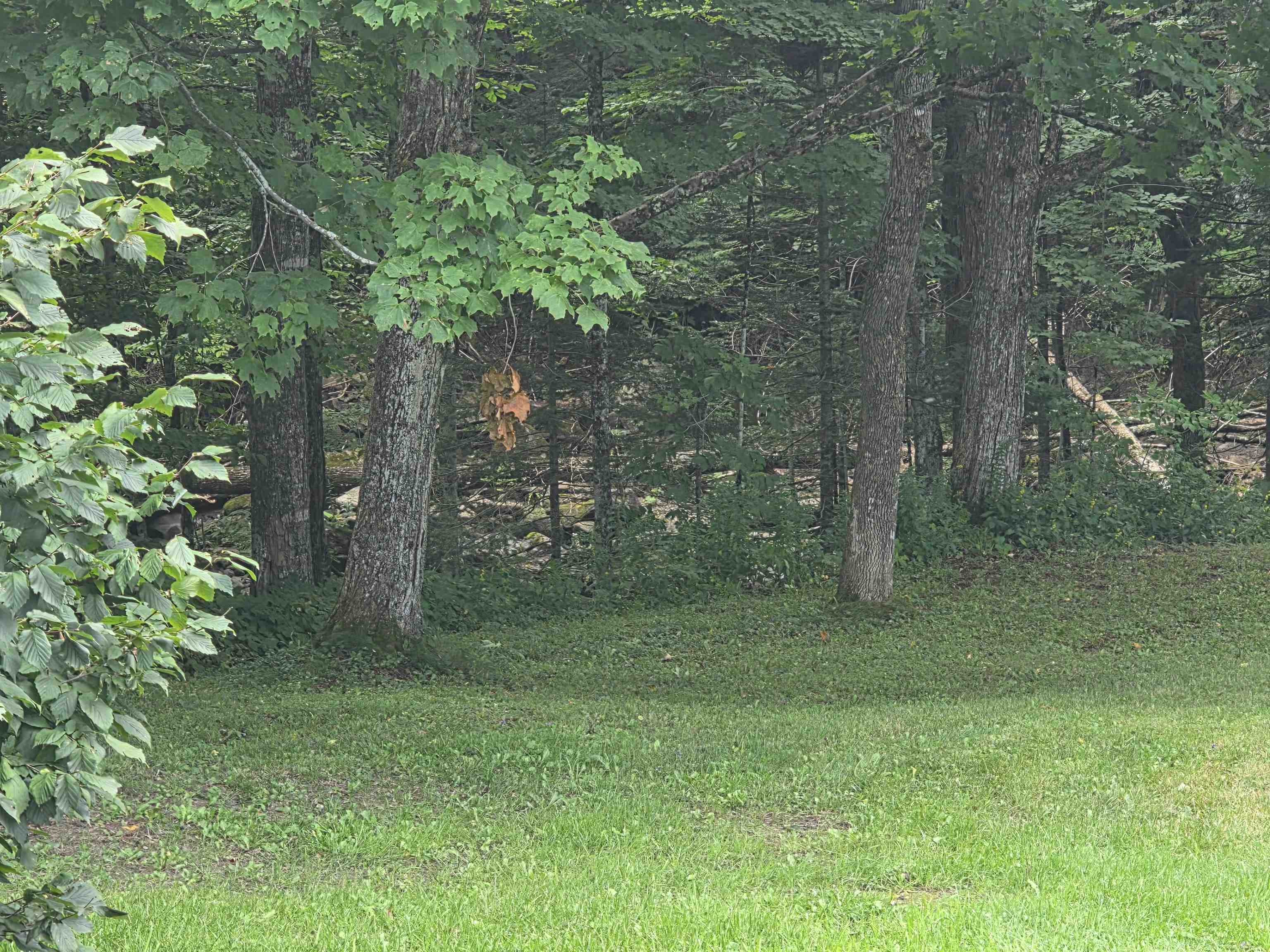 299 Firehouse Lane Property Photo 37